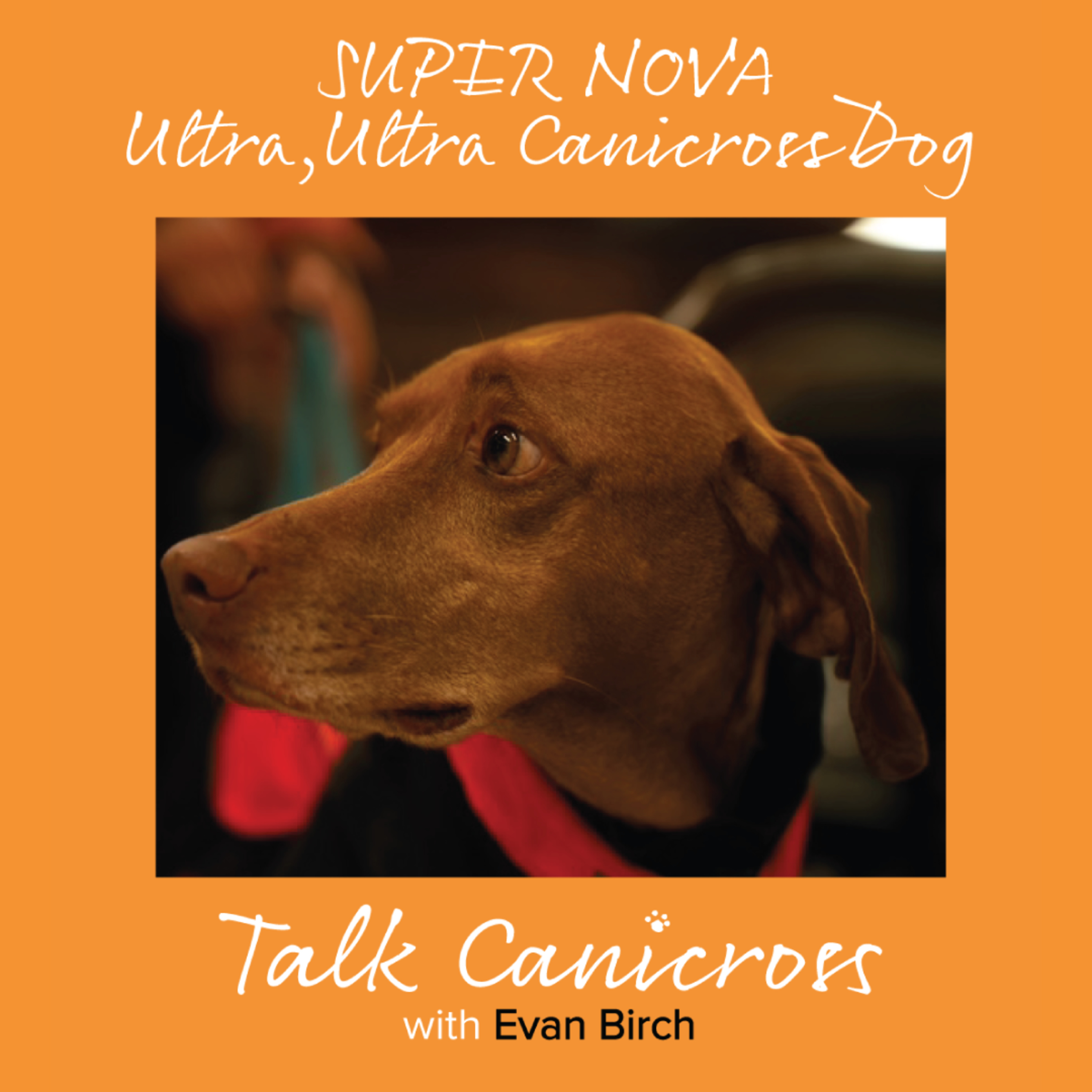Talk Canicross