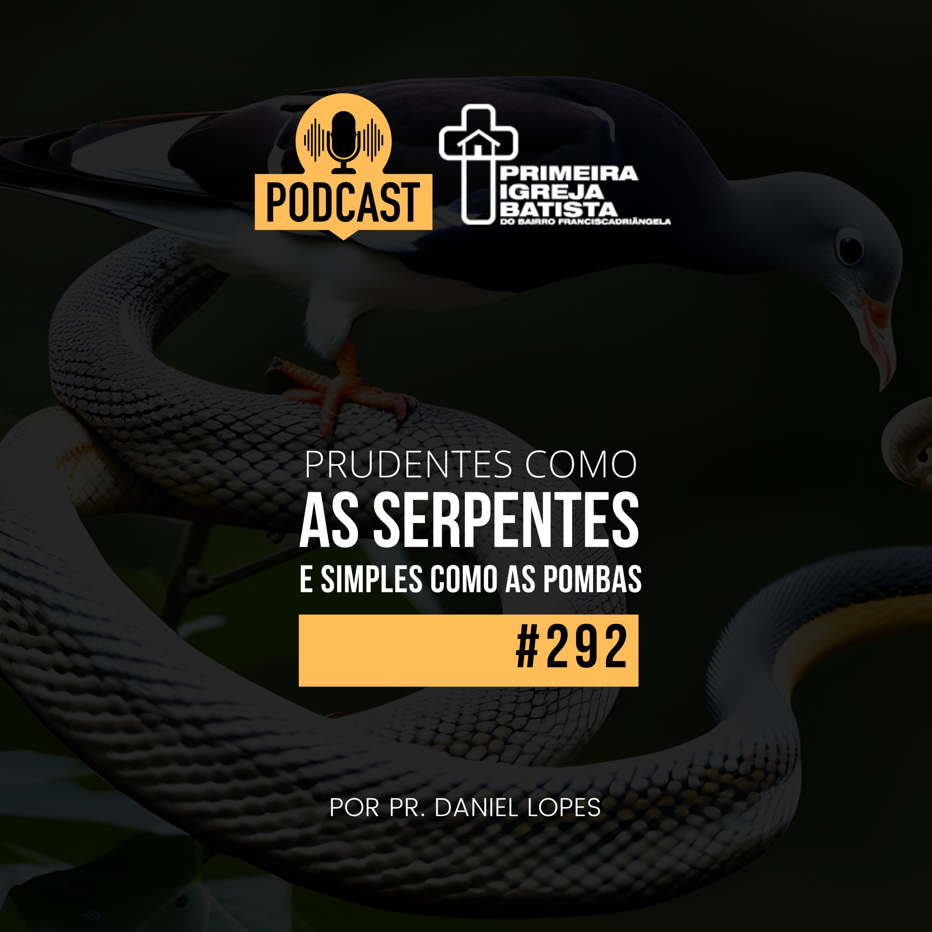 PodCast PIBF #292 / Prudentes como serpentes, e simples como as pombas. episode artwork