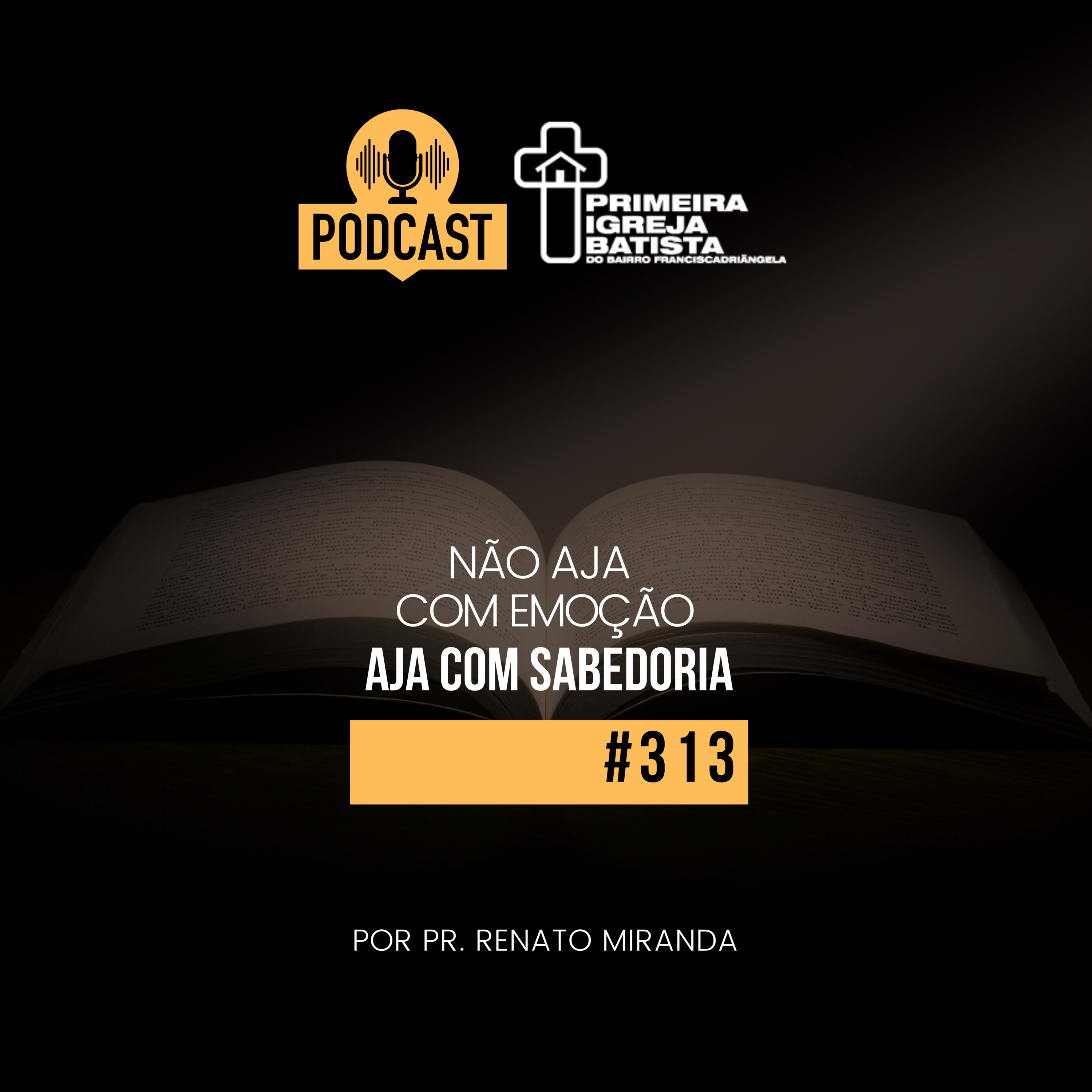 PodCast PIBF #313 / Não aja com emoção, aja com sabedoria episode artwork