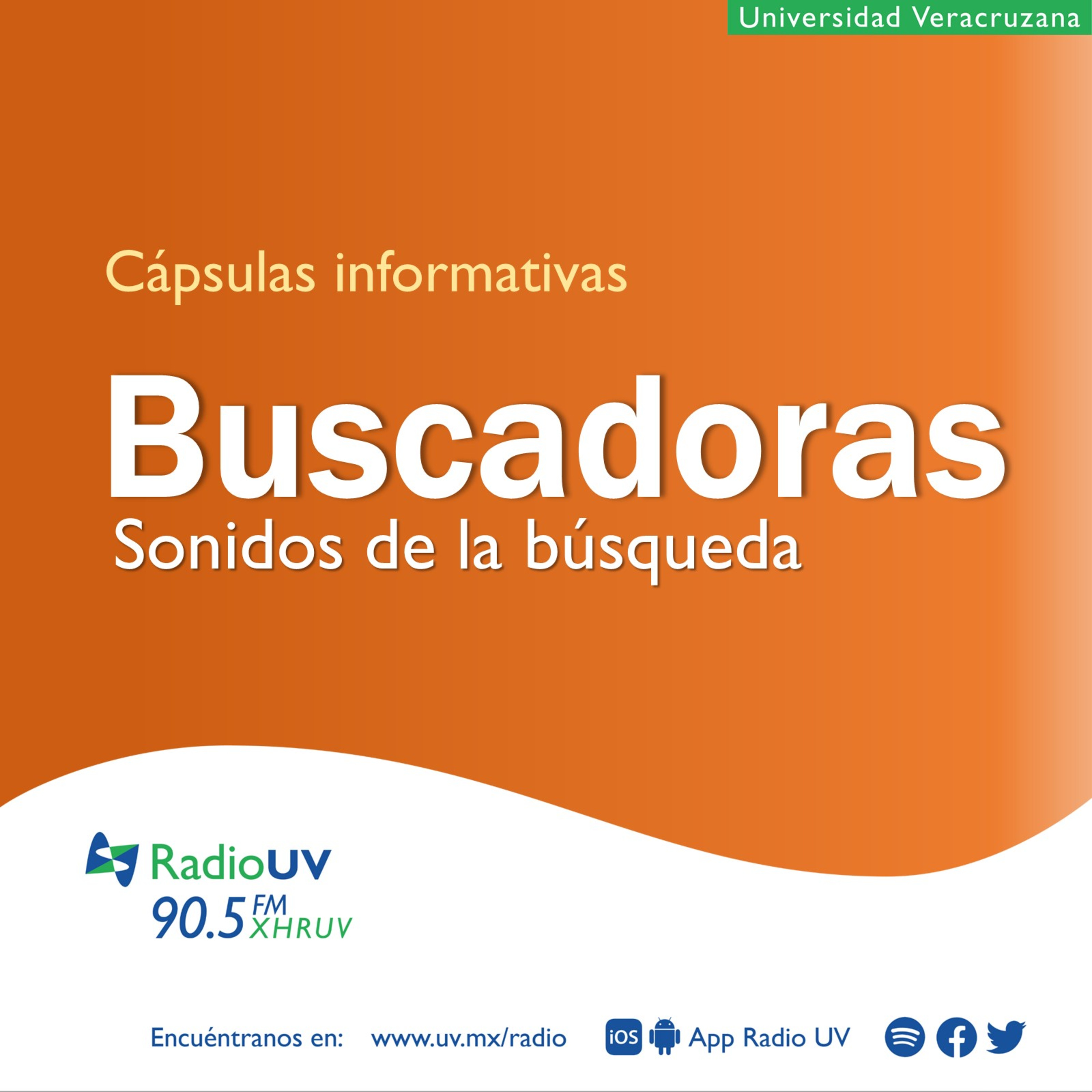 Buscadoras - Cápsula 2: La desaparición