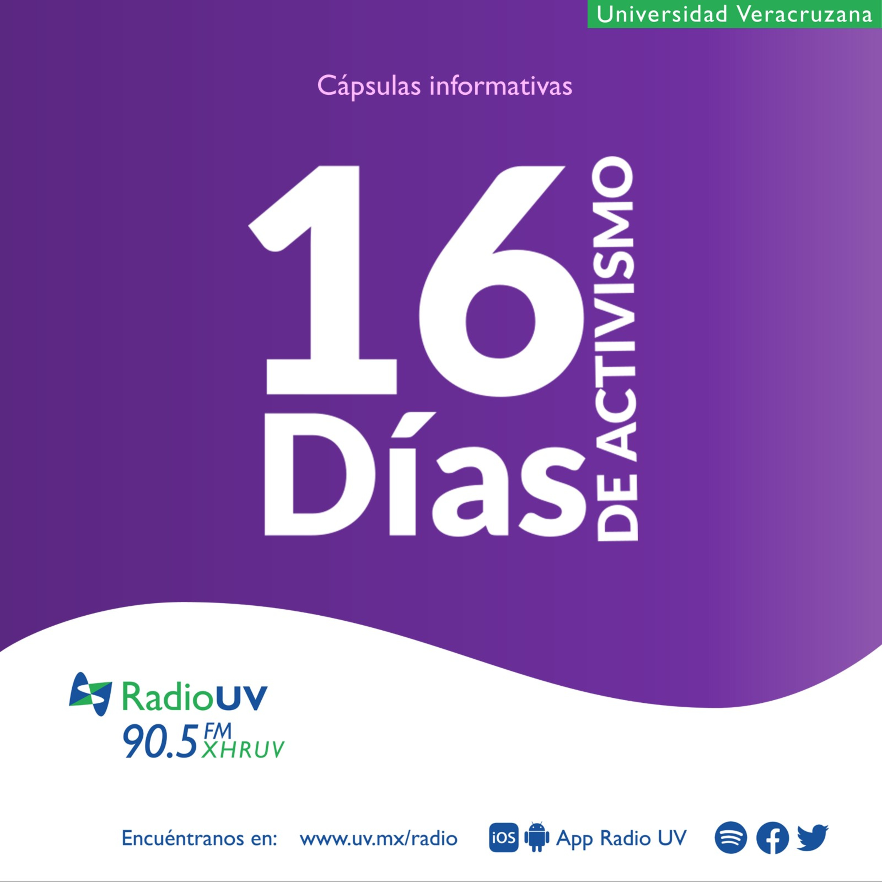 16 Días de Activismo - 28 de noviembre: Roles de género, estereotipos en el ámbito social y familiar episode artwork
