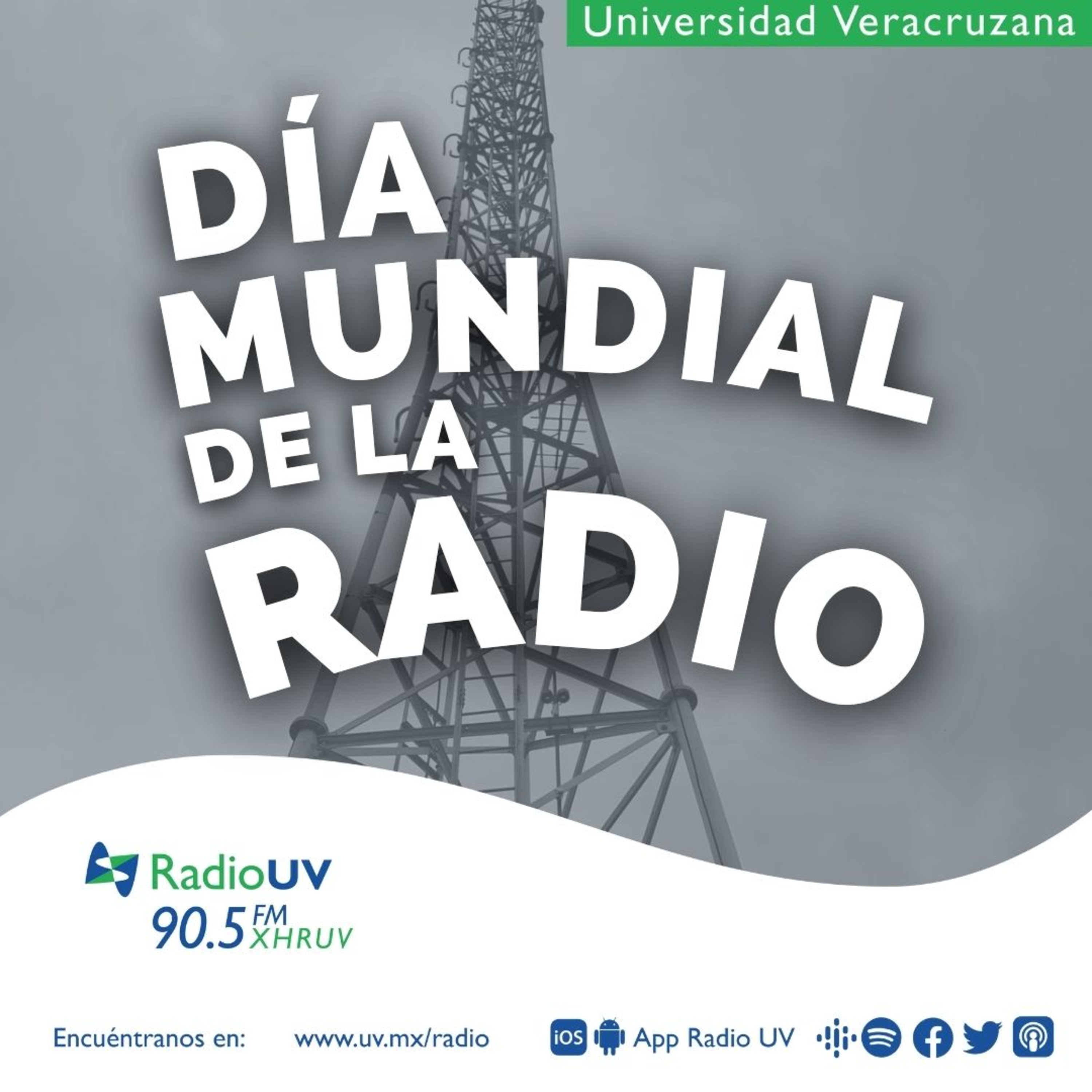 Día Mundial de la Radio - Rock en Radio UV y Radio Más  episode artwork