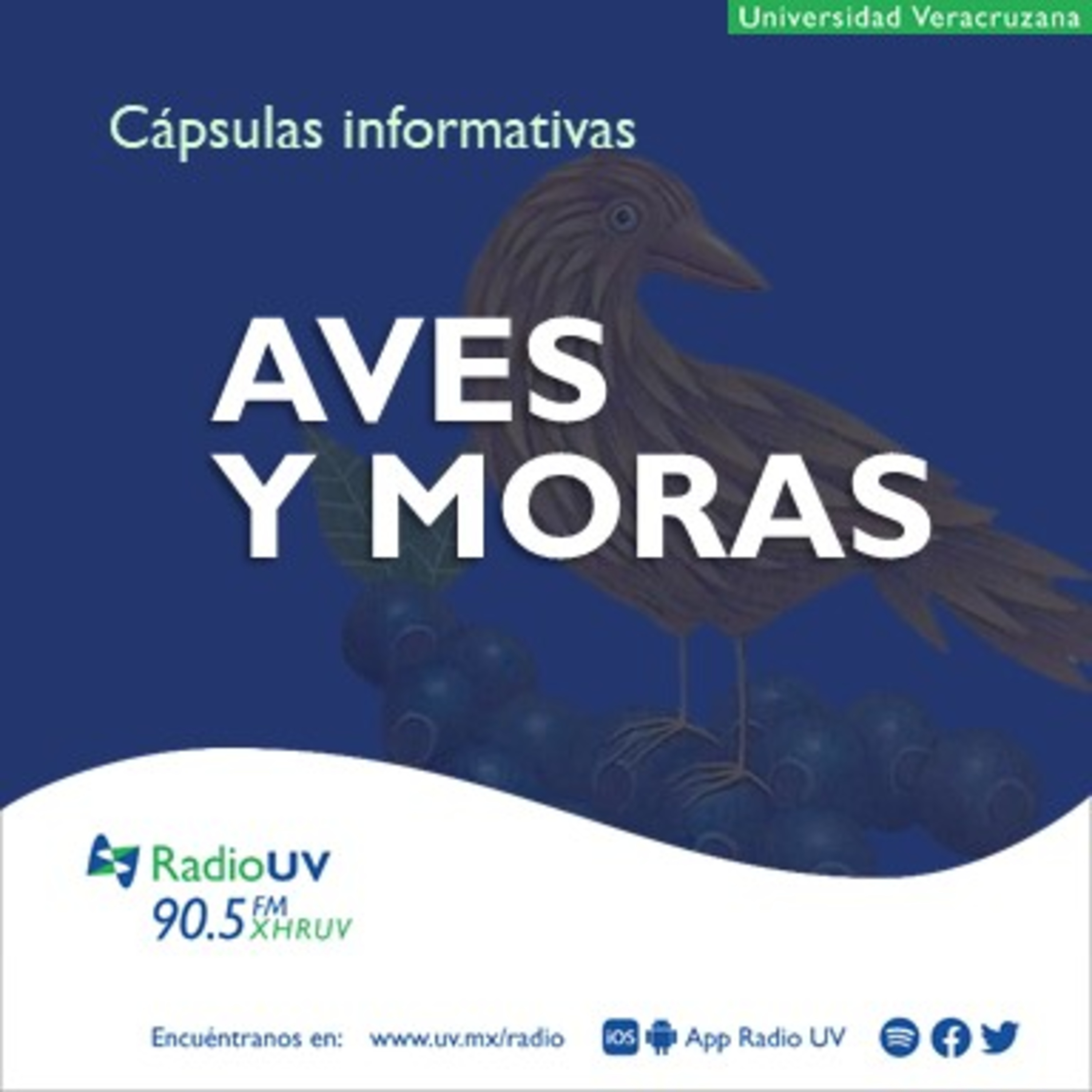 Aves y Moras - 30 de mayo 