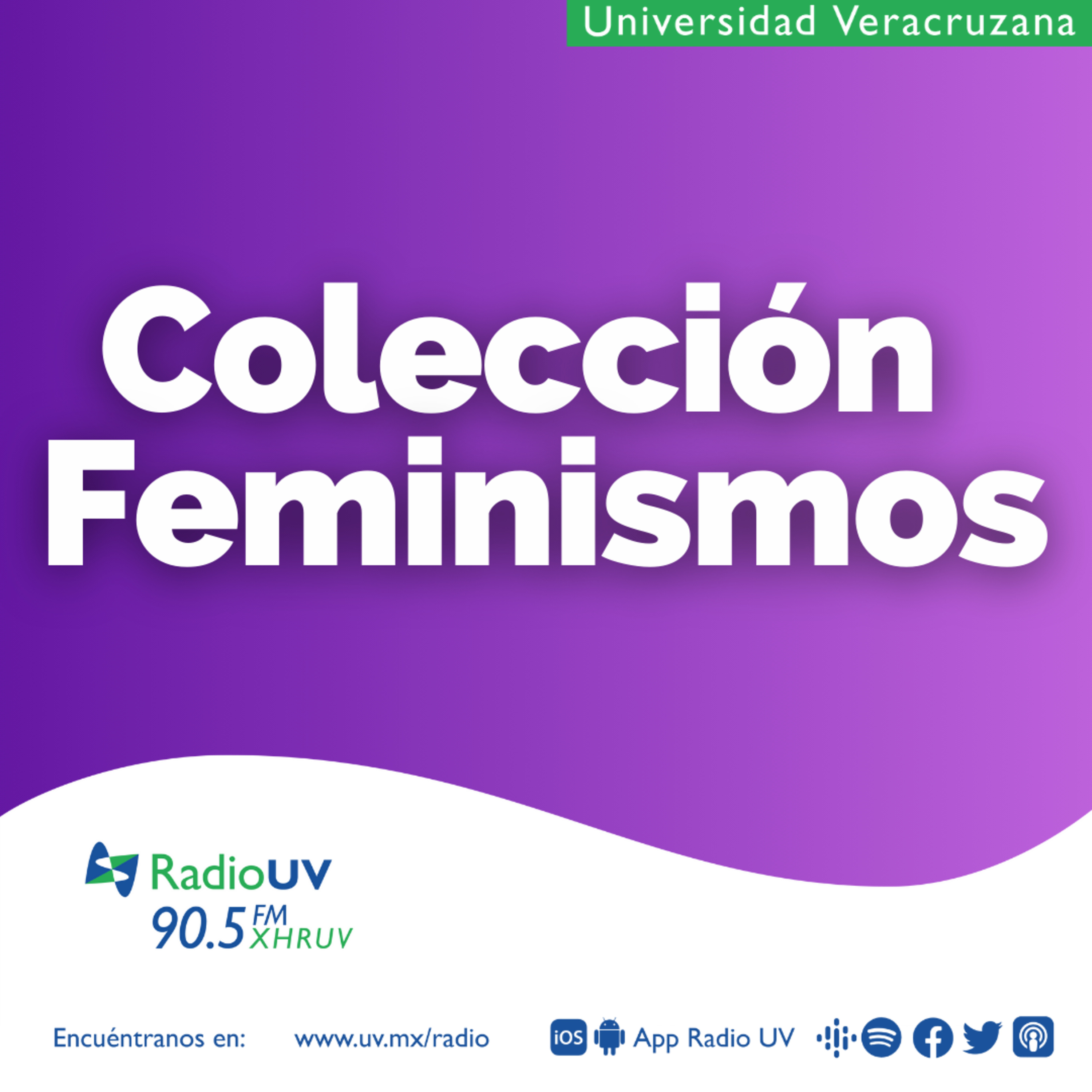 Colección Feminismos - No olvidamos 