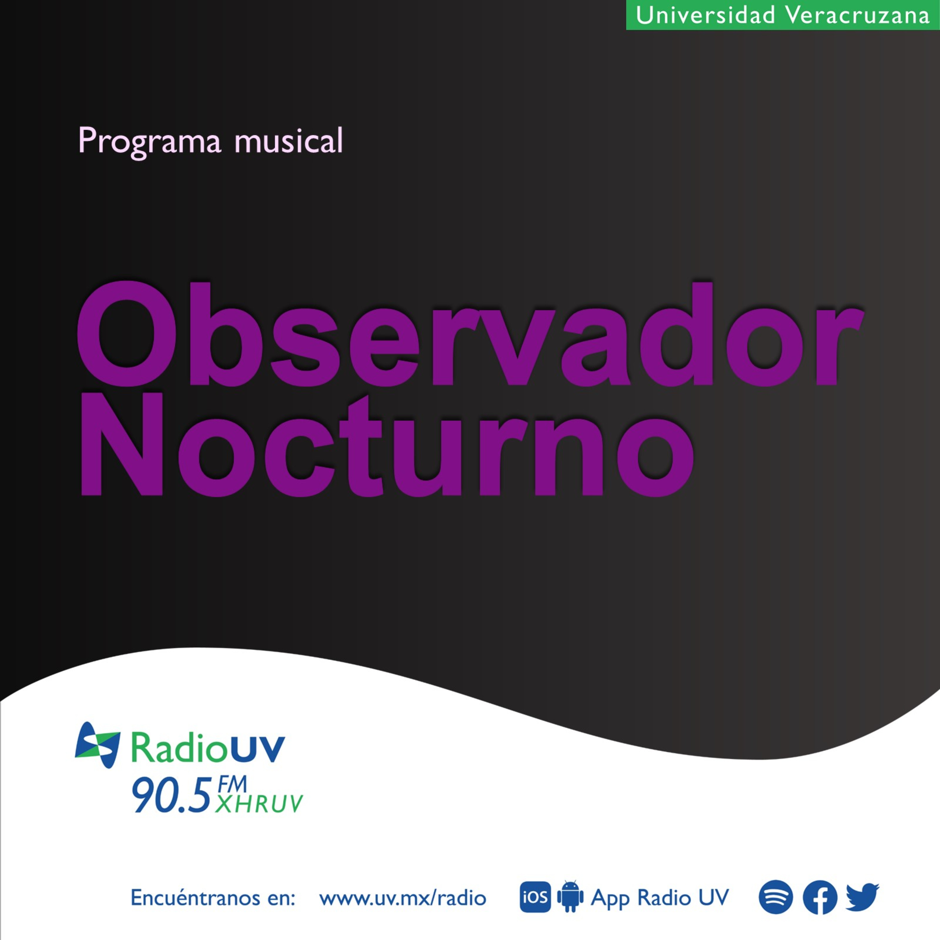 Observador Nocturno - Joy Division: Detrás de la historia  episode artwork