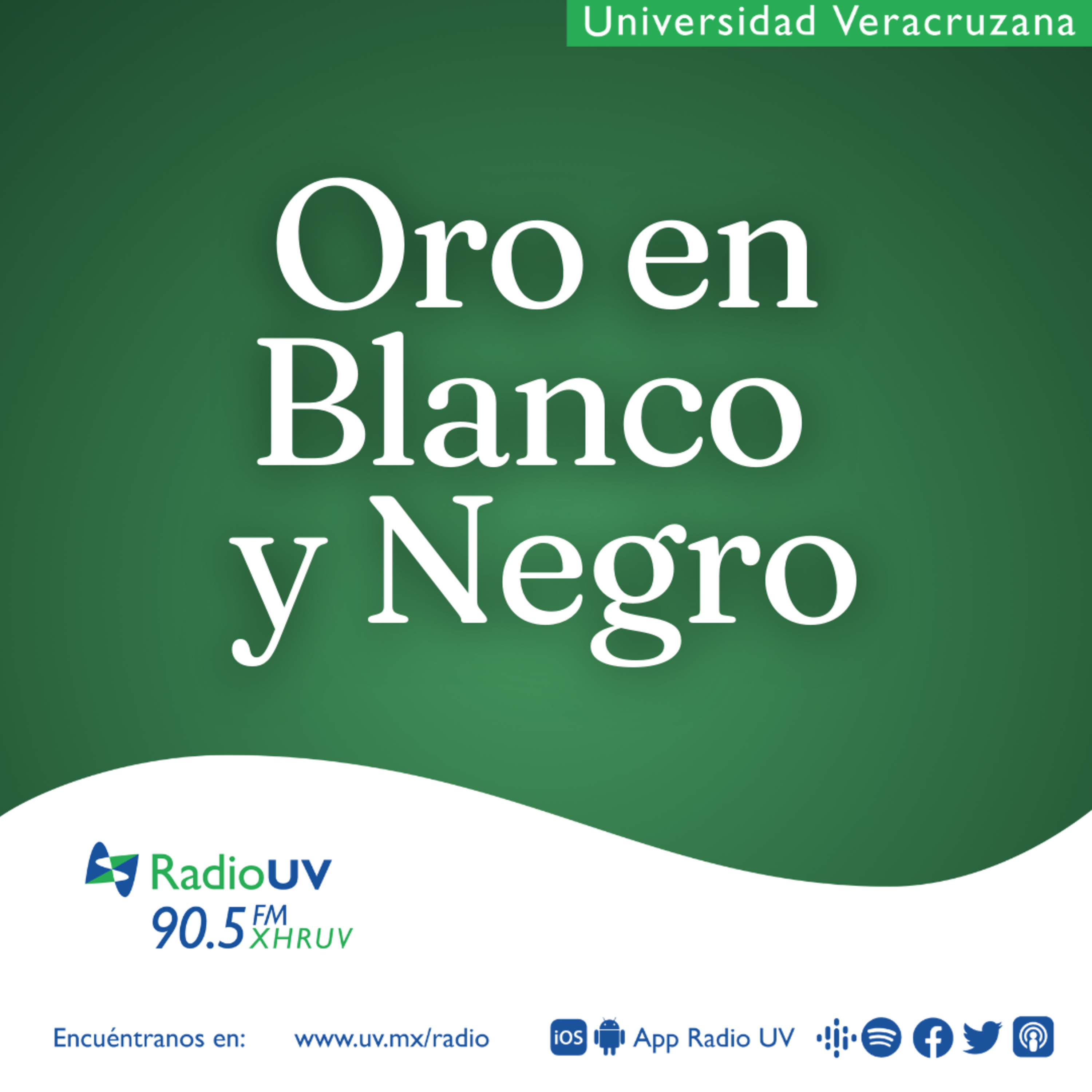 Oro en Blanco y Negro - Episodio 4  episode artwork