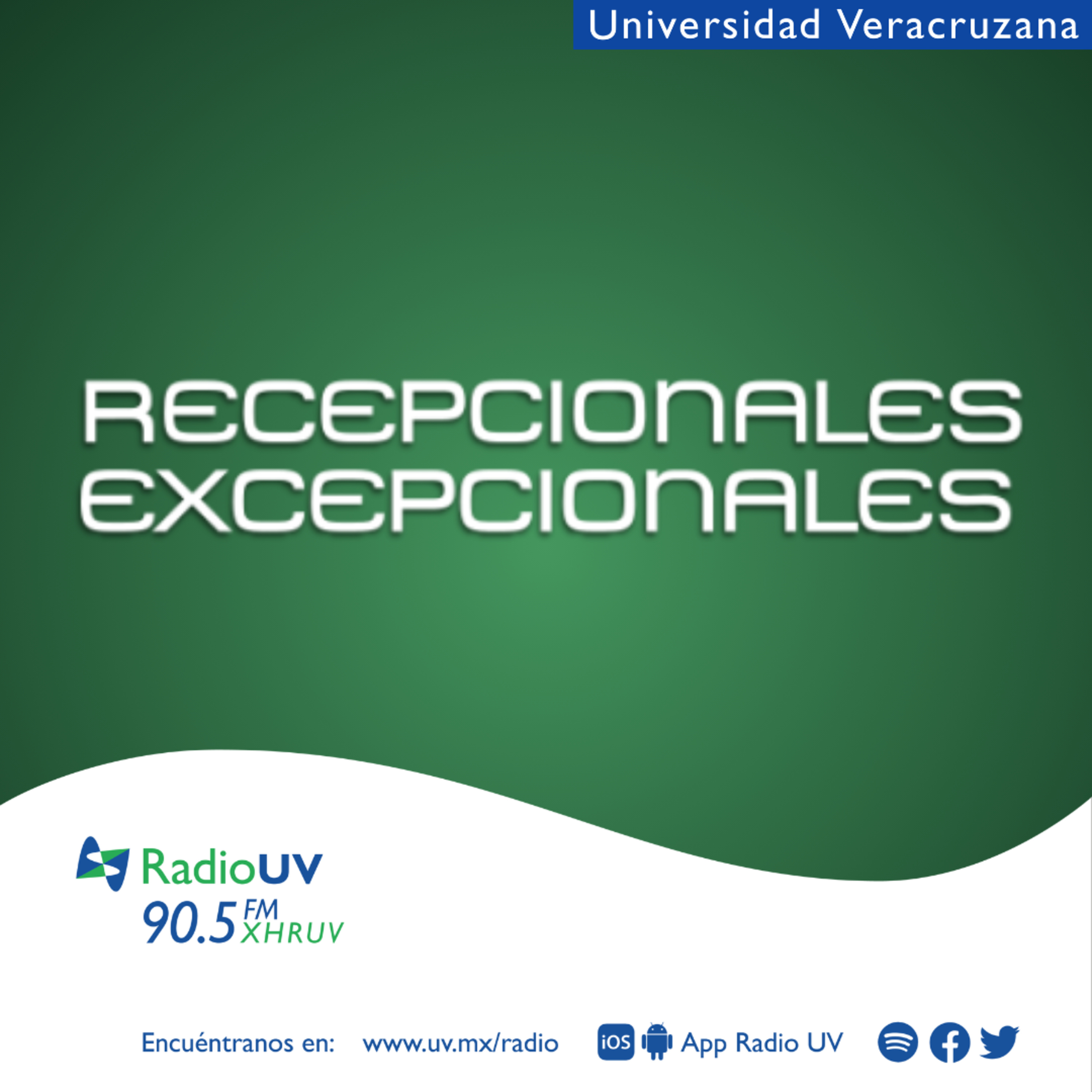 Recepcionales Excepcionales - Prácticas y materializaciones discursivas de las comunidades político-afectivas de Veracruz: Desaparecidos Orizaba-Córdoba y Colectivos Enlaces Xalapa.  episode artwork