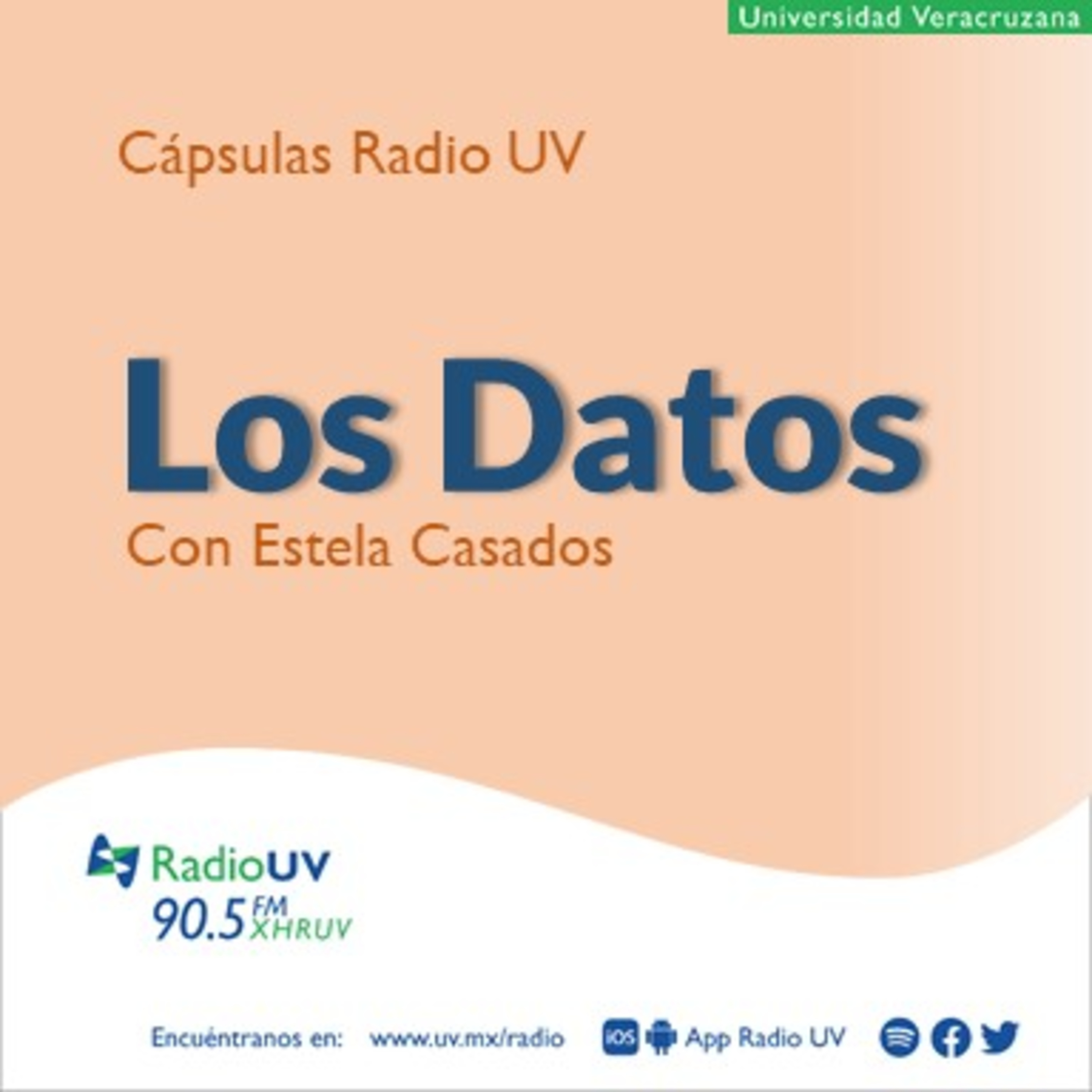 Los Datos (con Estela Casados) - 11 de junio  episode artwork