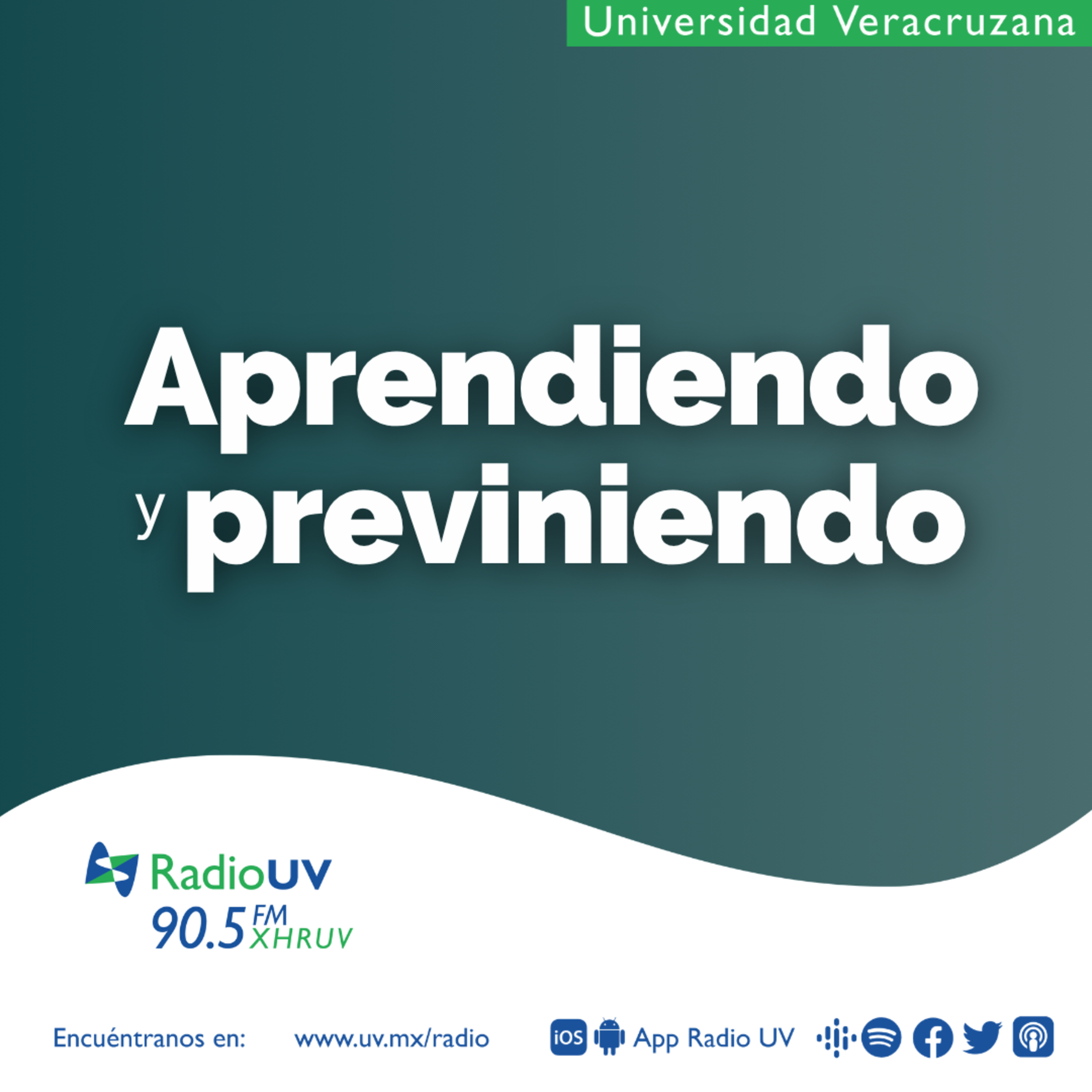 Aprendiendo y Previniendo - Programa quince  episode artwork