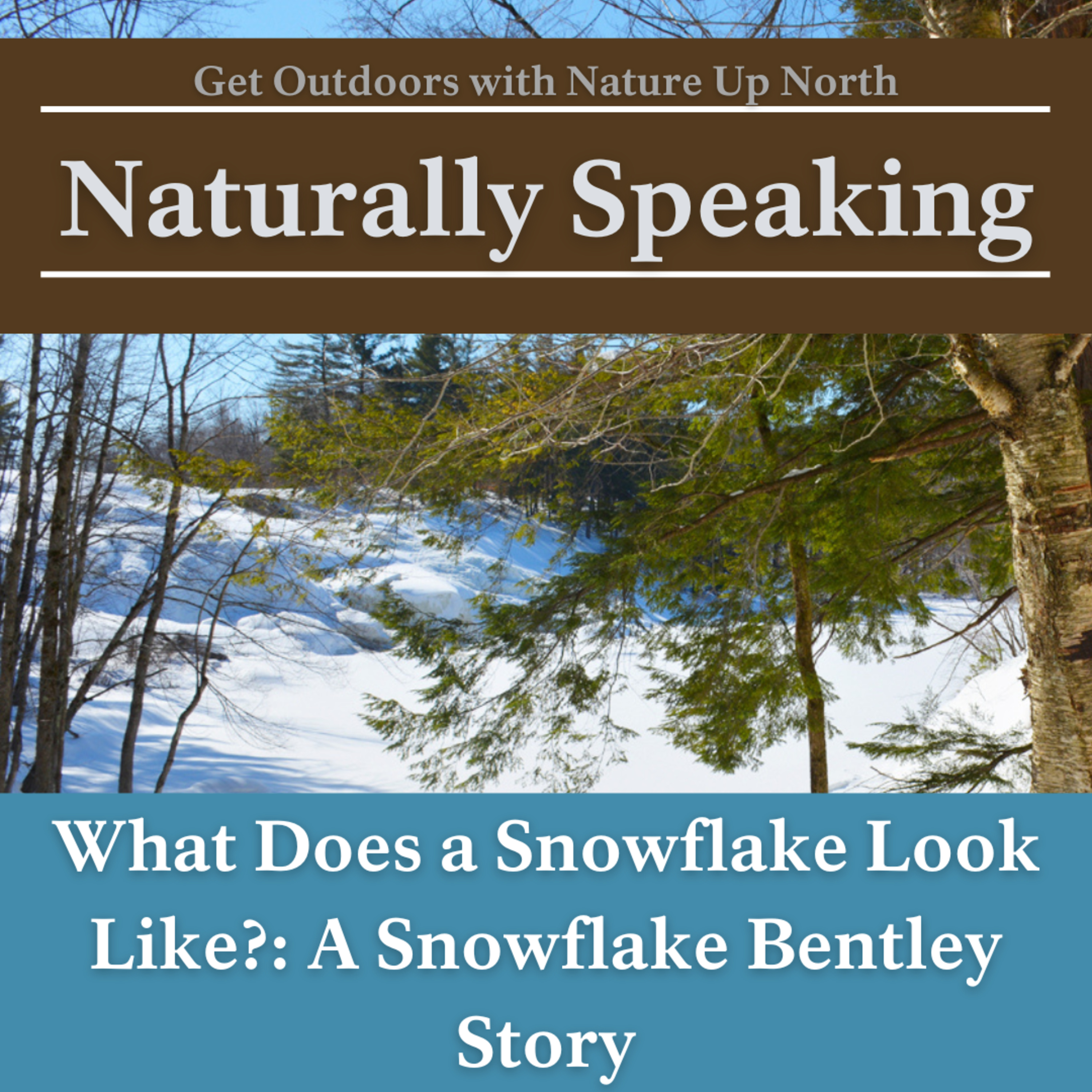 Naturally Speaking
