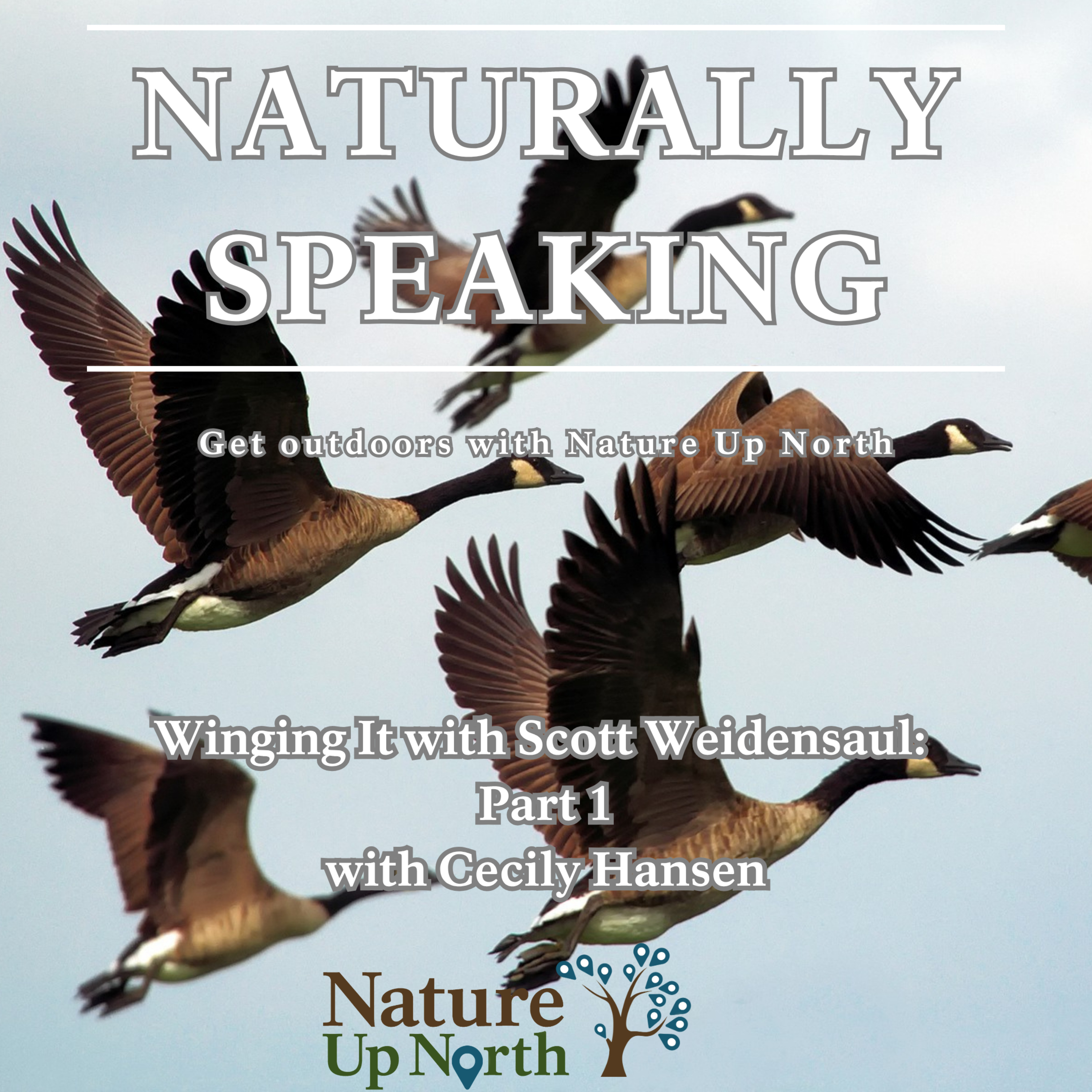 Naturally Speaking