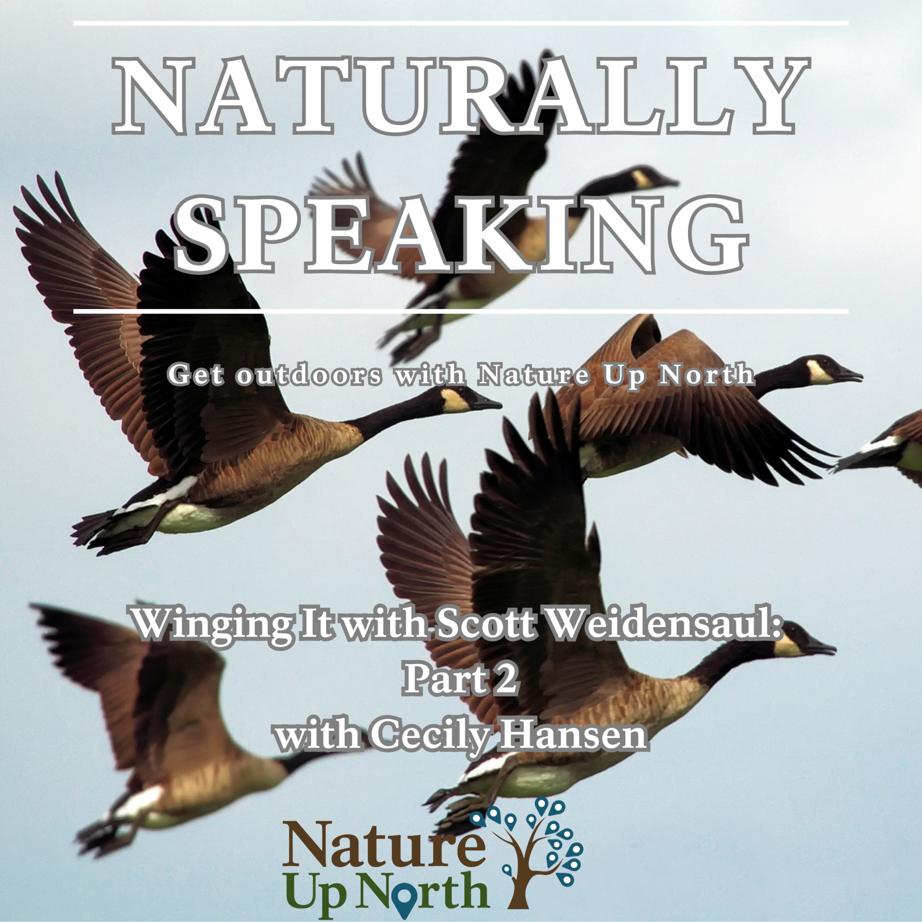 Naturally Speaking
