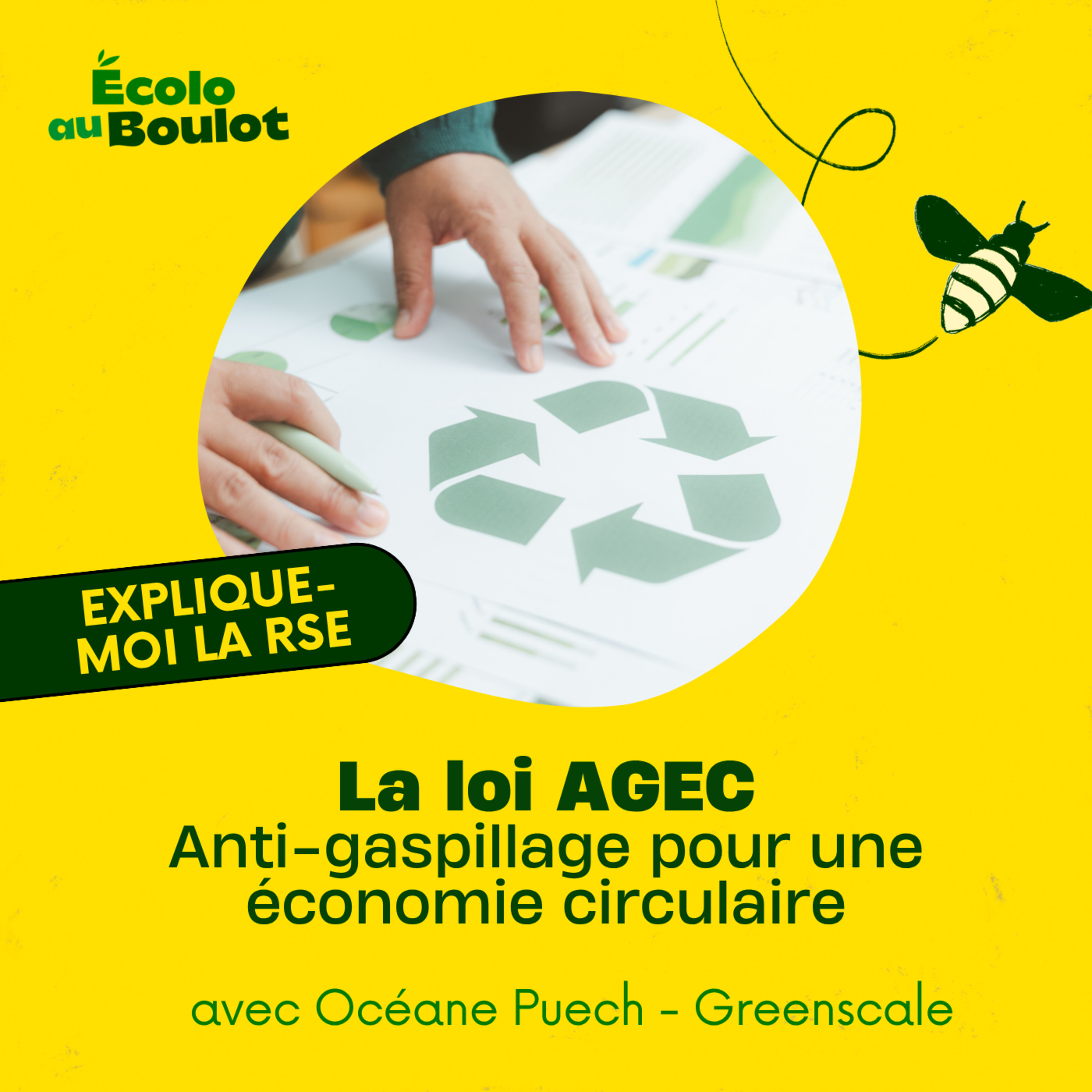 113. La loi AGEC : ce que ton entreprise devrait (déjà) avoir changé [Explique moi la RSE] avec Océane Puech de Greenscale