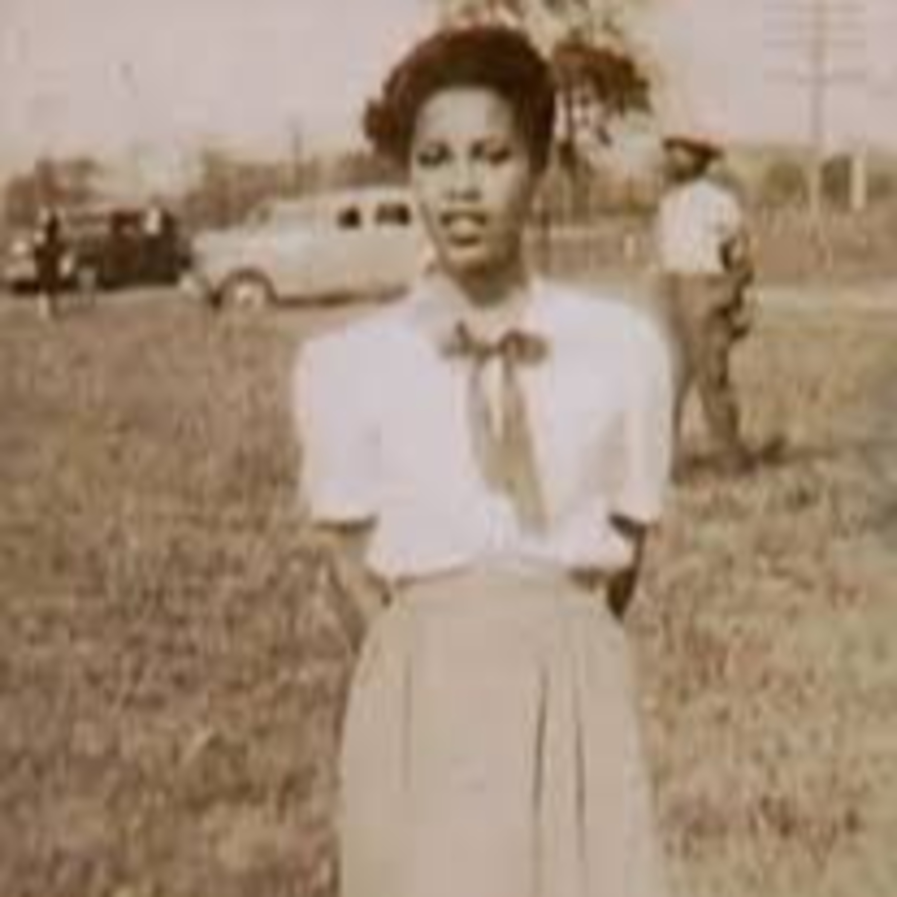 A Literary Cornucopia