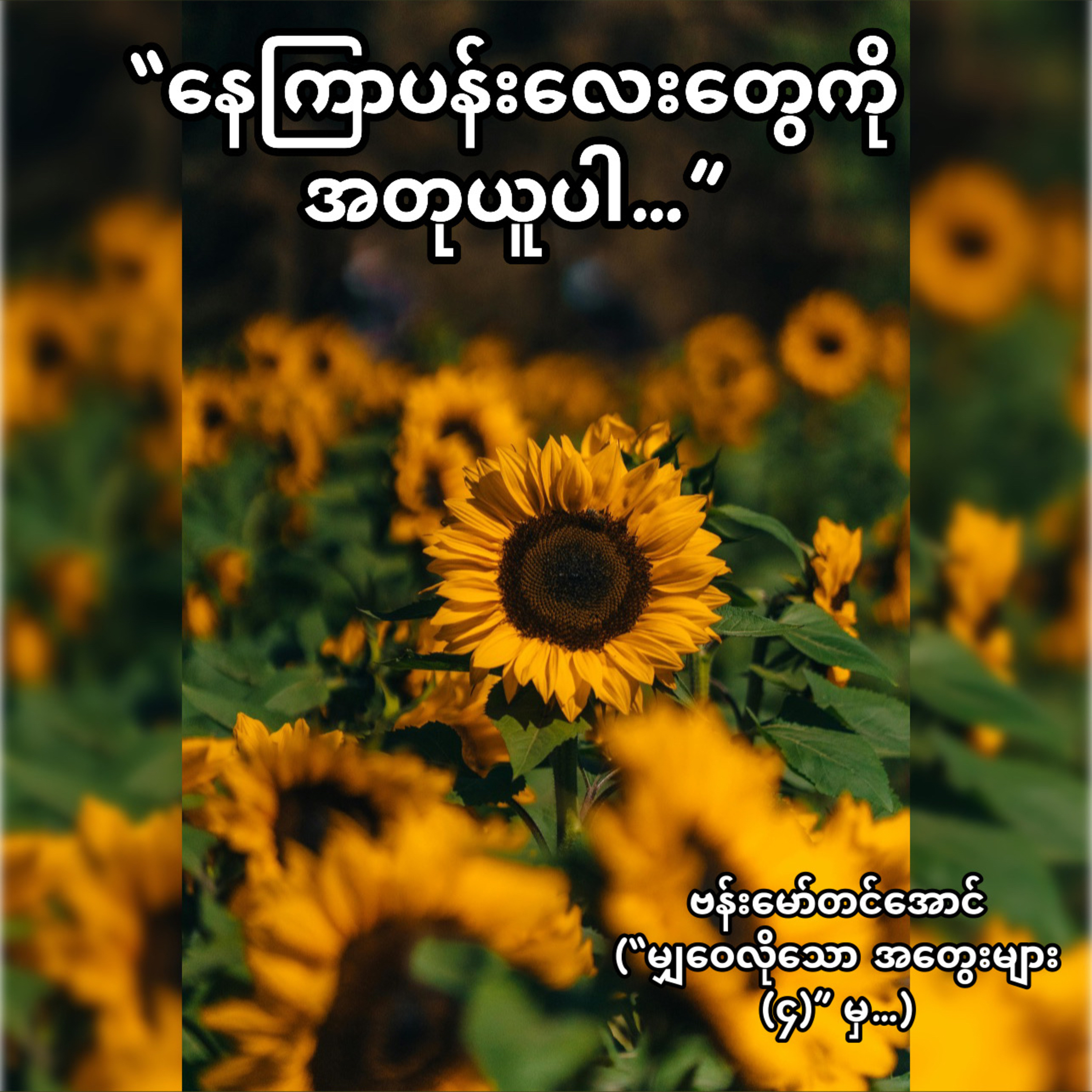 “နေကြာပန်းလေးတွေကို အတုယူပါ” -ဗန်းမော်တင်အောင် episode artwork