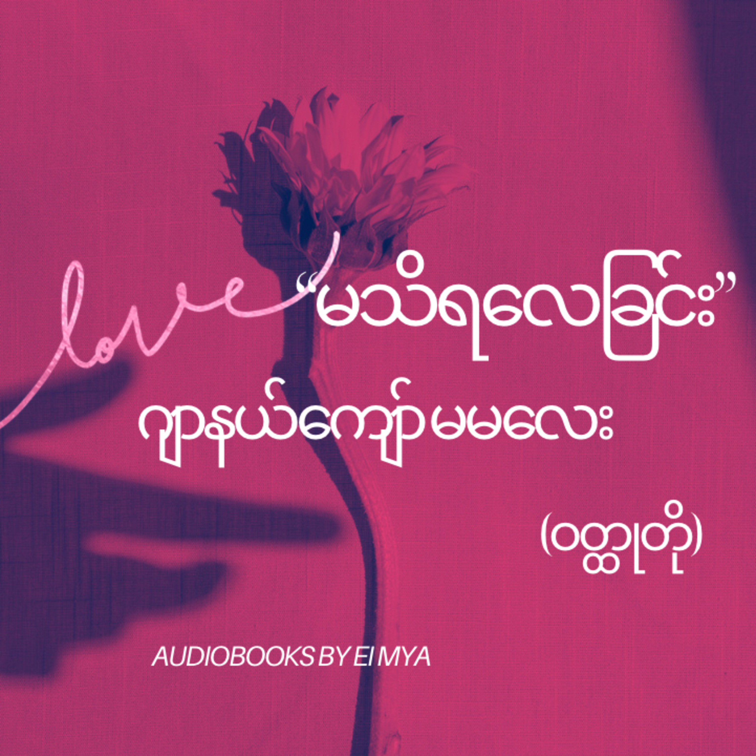 ဂျာနယ်ကျော်မမလေး ၏ စာပေကောင်းများ episode artwork