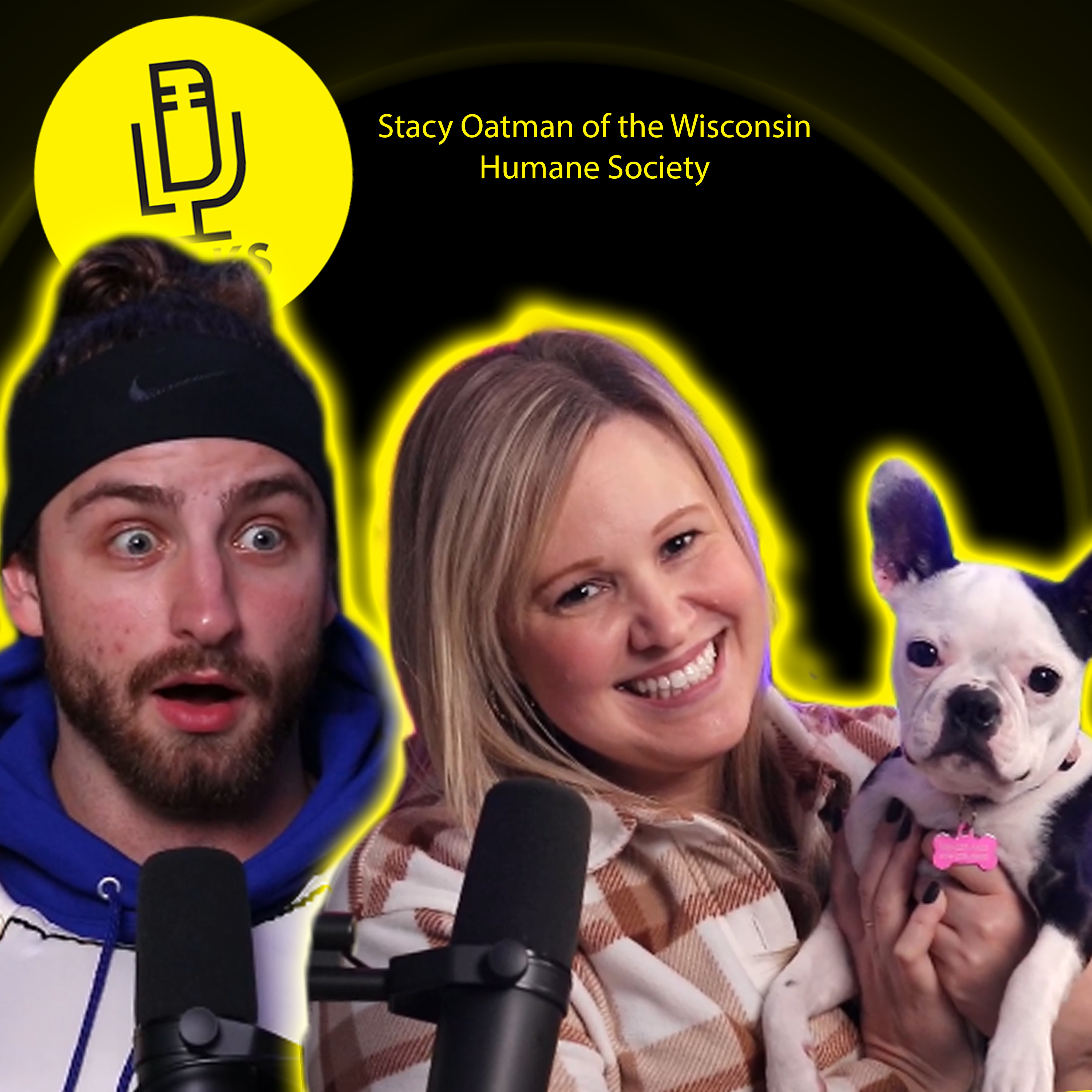 D-Talks W/ Stacy Oatman of the Wisconsin Humane Society (Episode 330) episode artwork