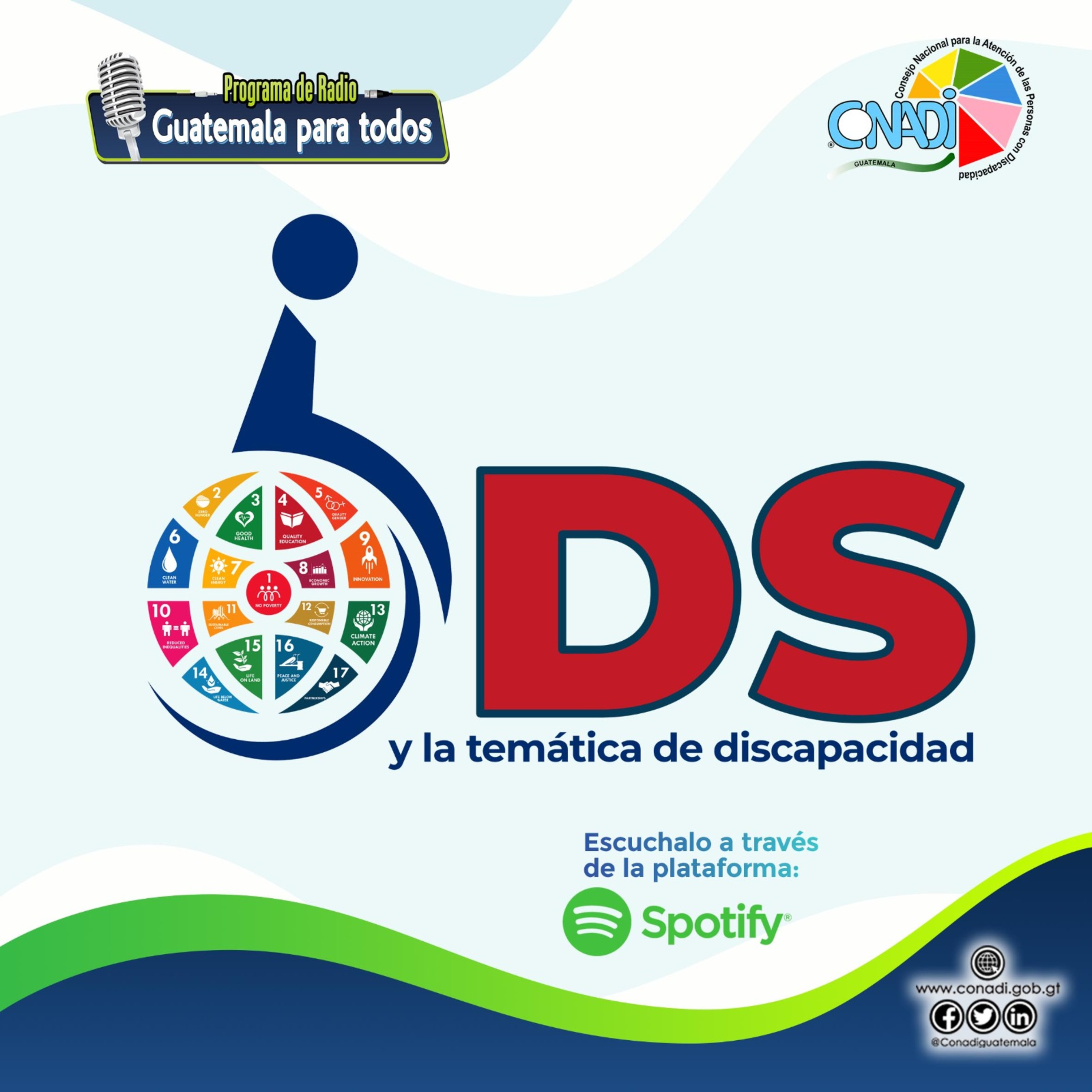 "La temática de discapacidad es incluida en los Objetivos de Desarrollo Sostenible". episode artwork