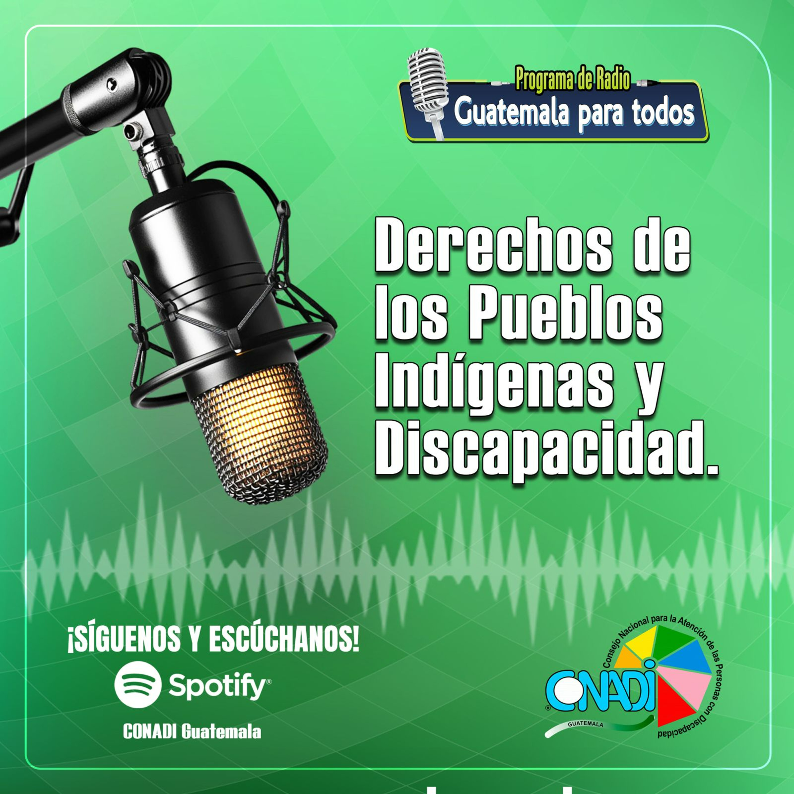  "Derechos de los Pueblos Indígenas y Discapacidad" episode artwork