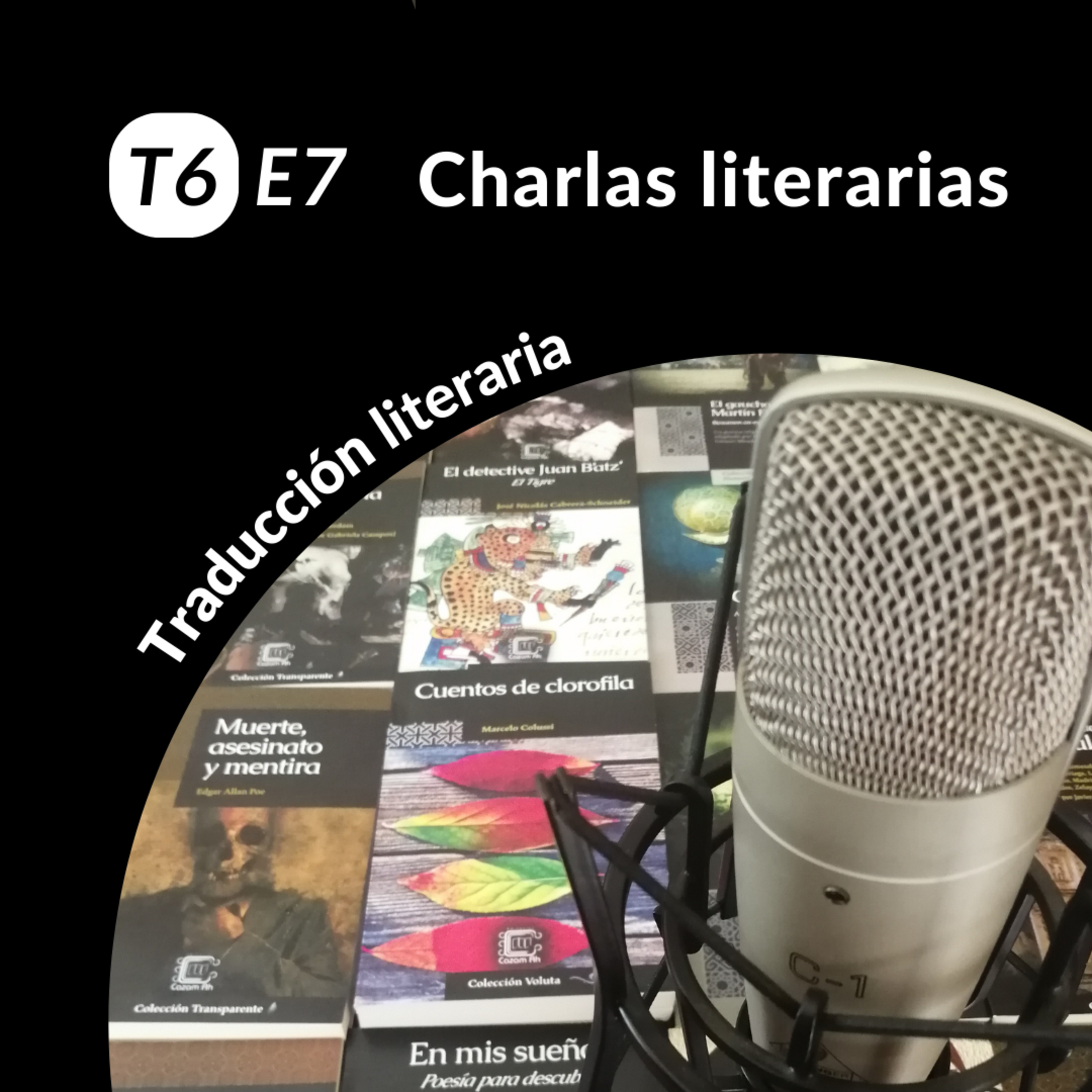 T6E7 | Traducción literaria