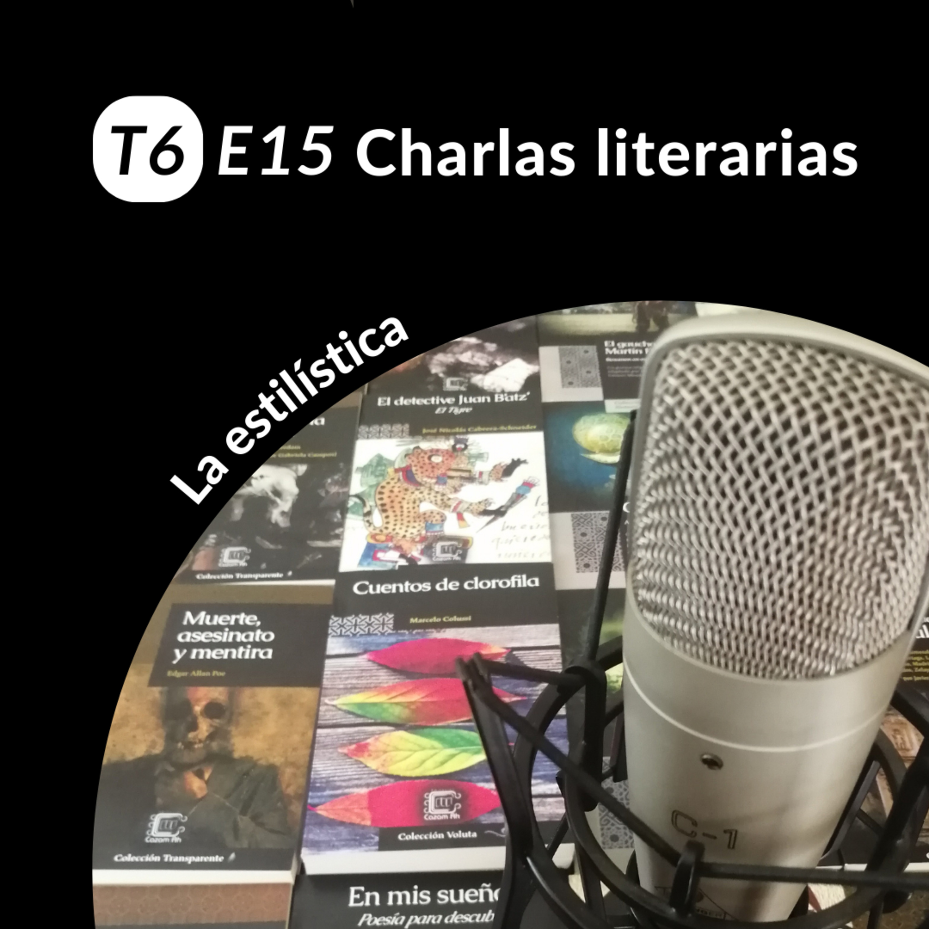 T6E15 | La estilística