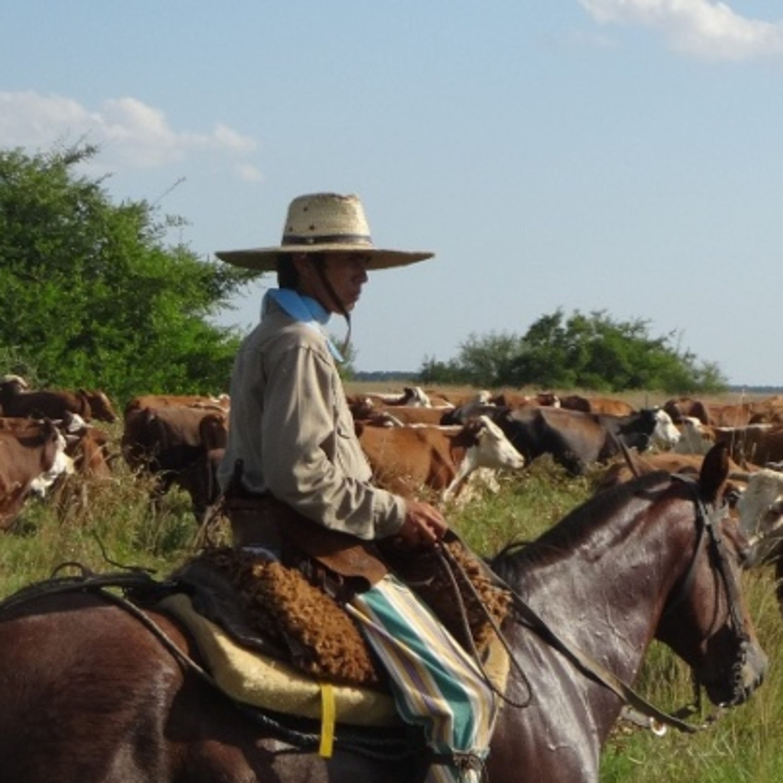 E20 - El Gaucho: the Cowboy of Argentina
