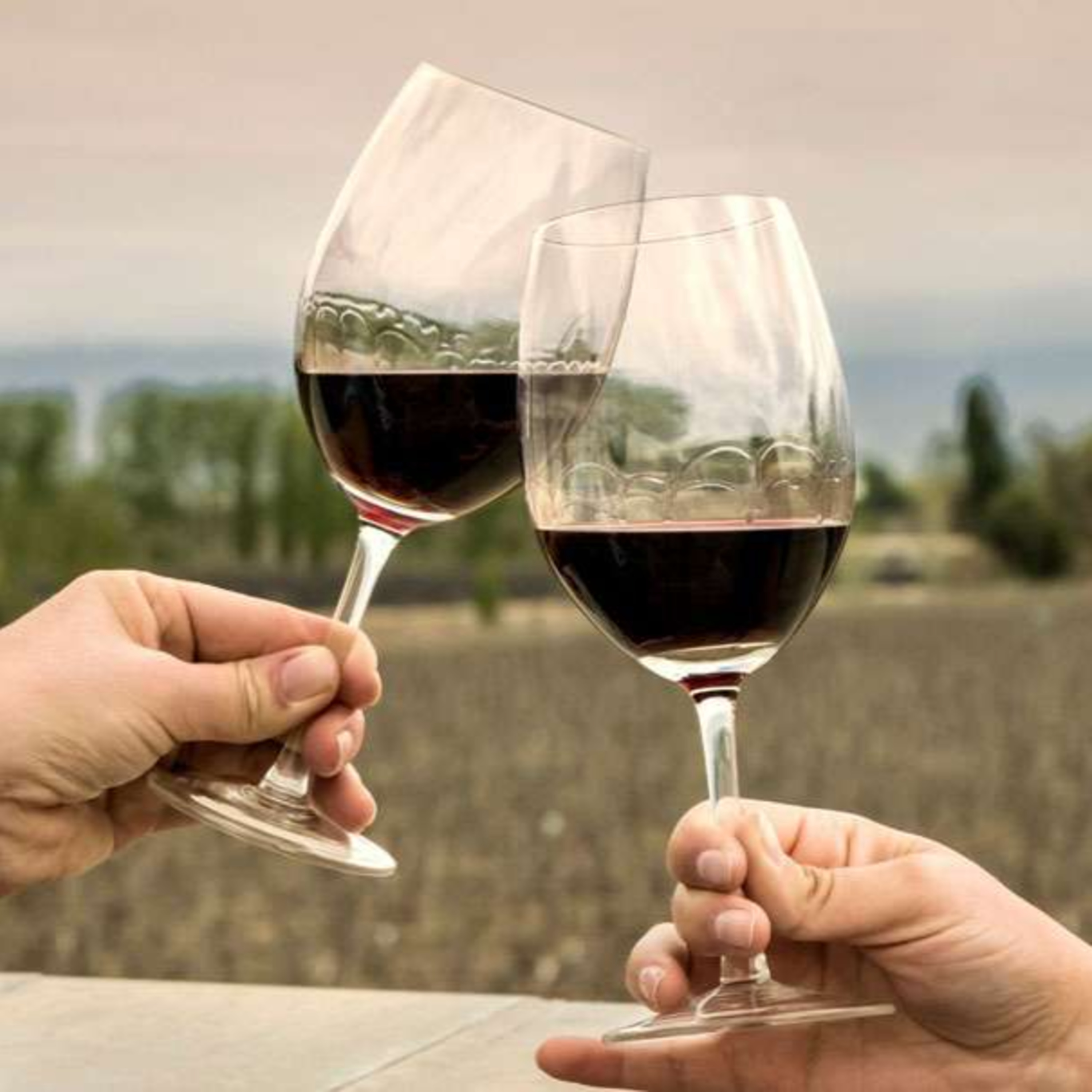 E54 - A Journey Through Argentine Flavors: The Wine