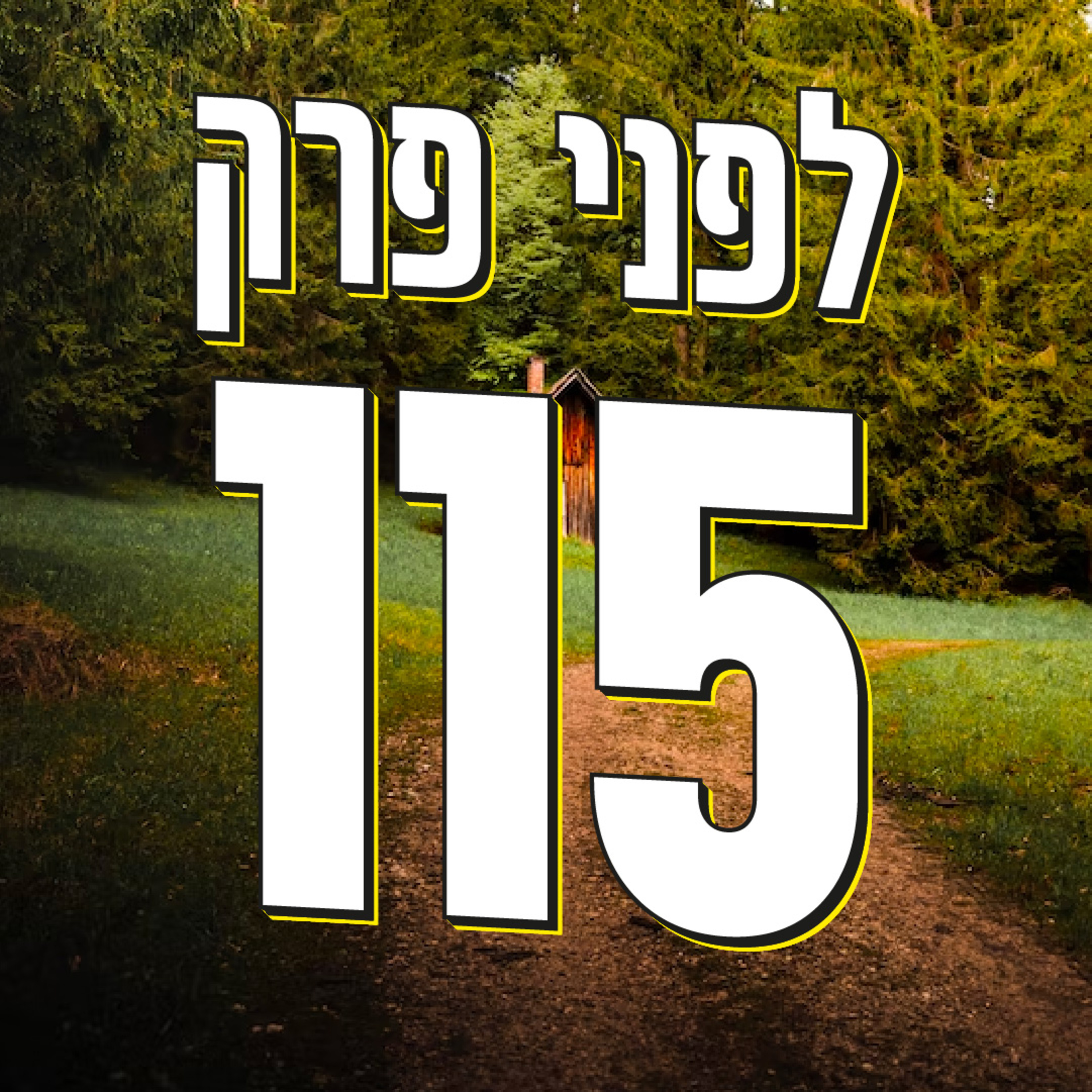 לפני פרק 115 episode artwork