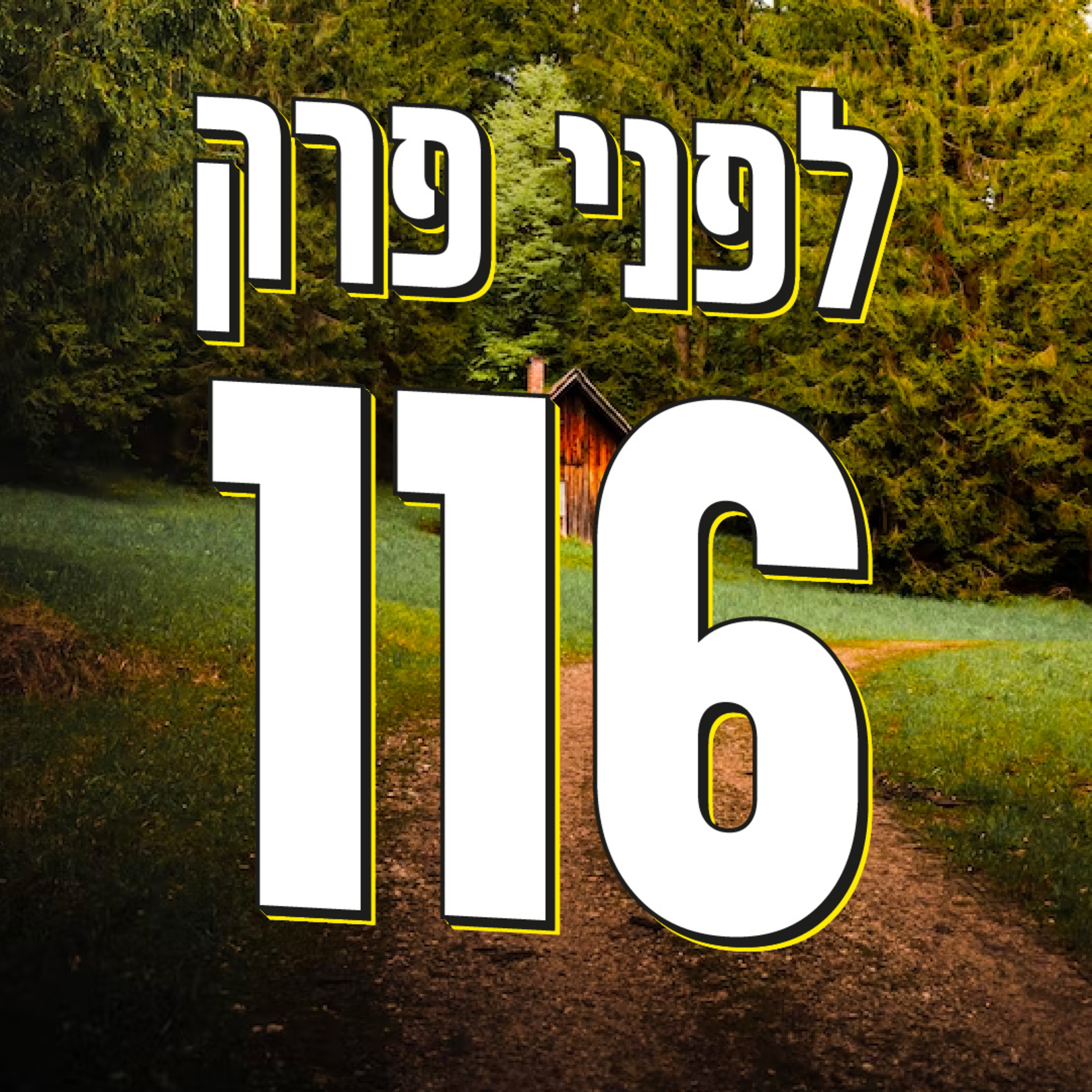 לפני פרק 116 episode artwork