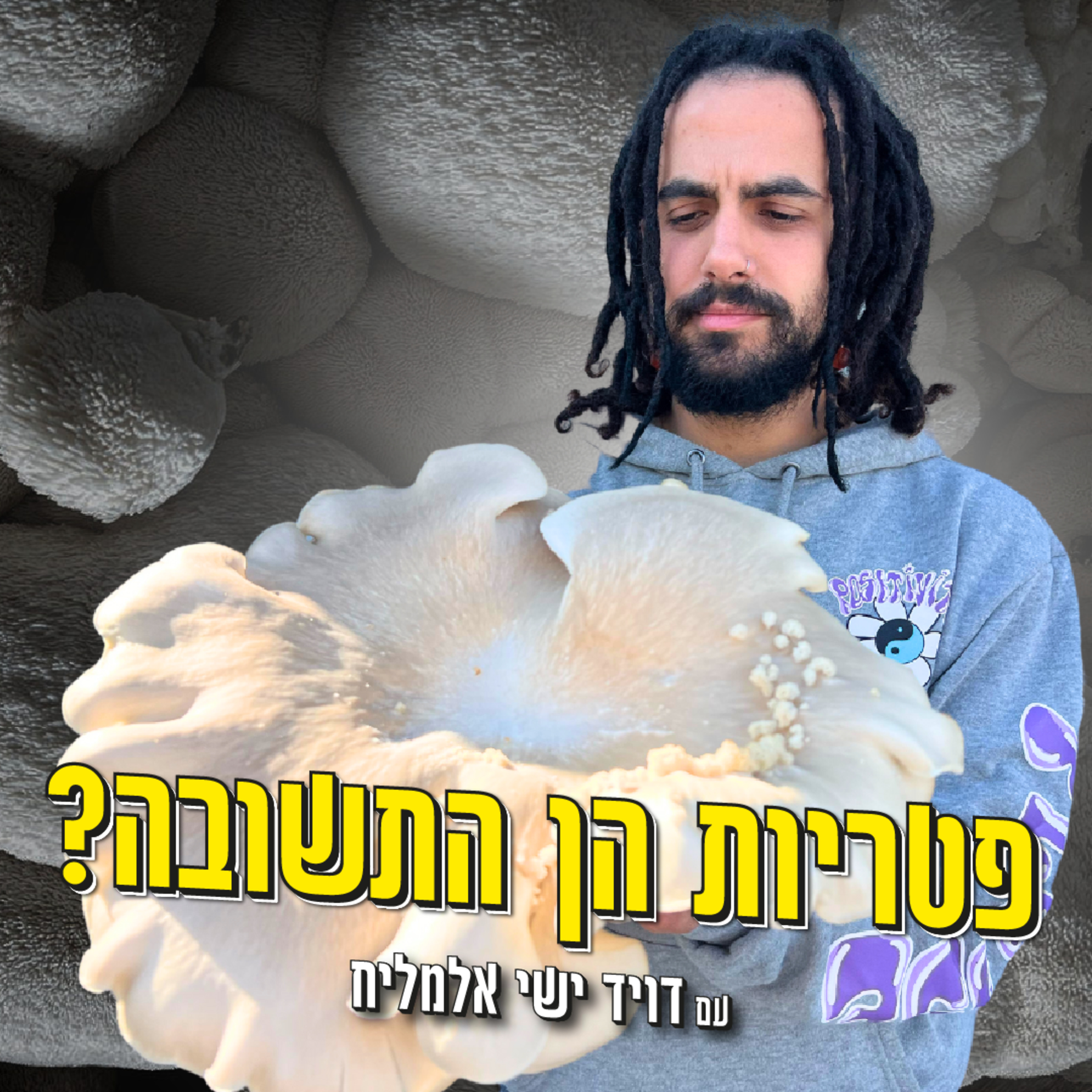 פטריות, בתולות ים ומציאת הייעוד שלך בחיים עם דויד ישי אלמליח episode artwork