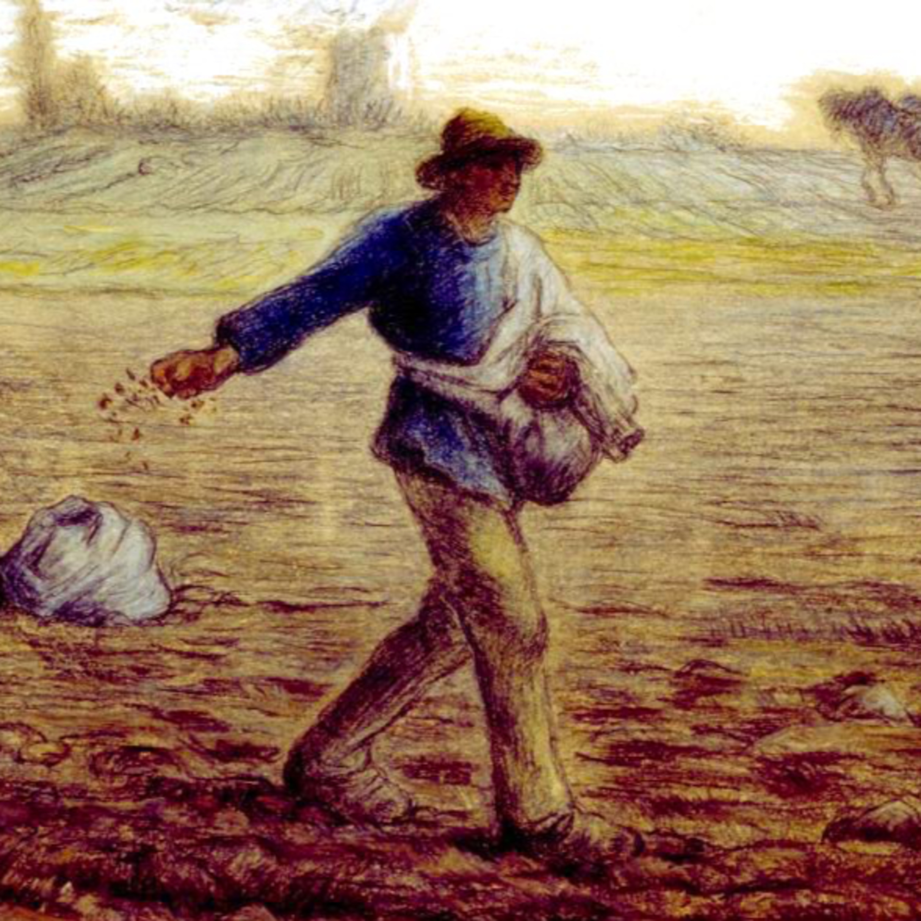 Our Formation and the Parable of the Sower