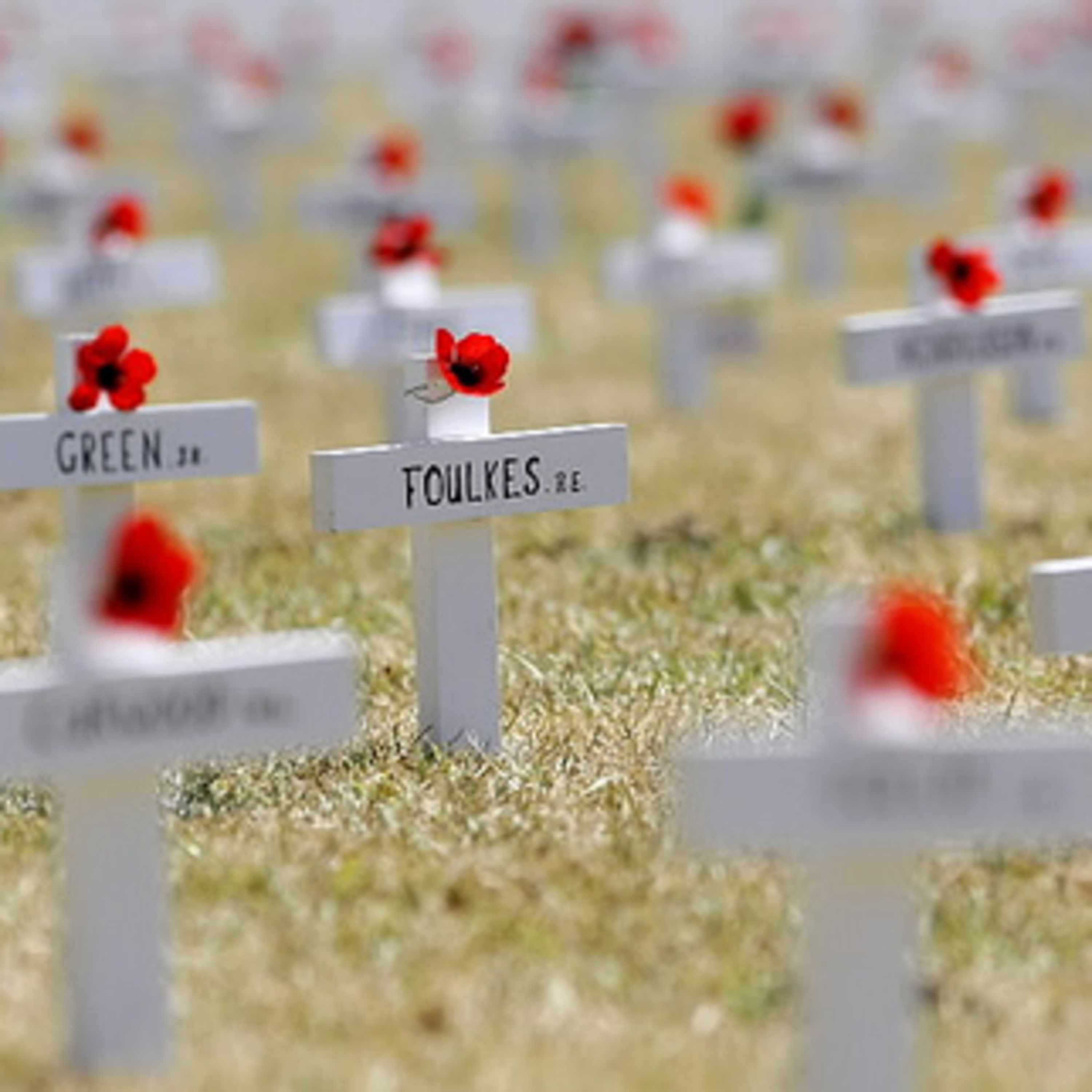 Flanders Fields: Pray for the Dead