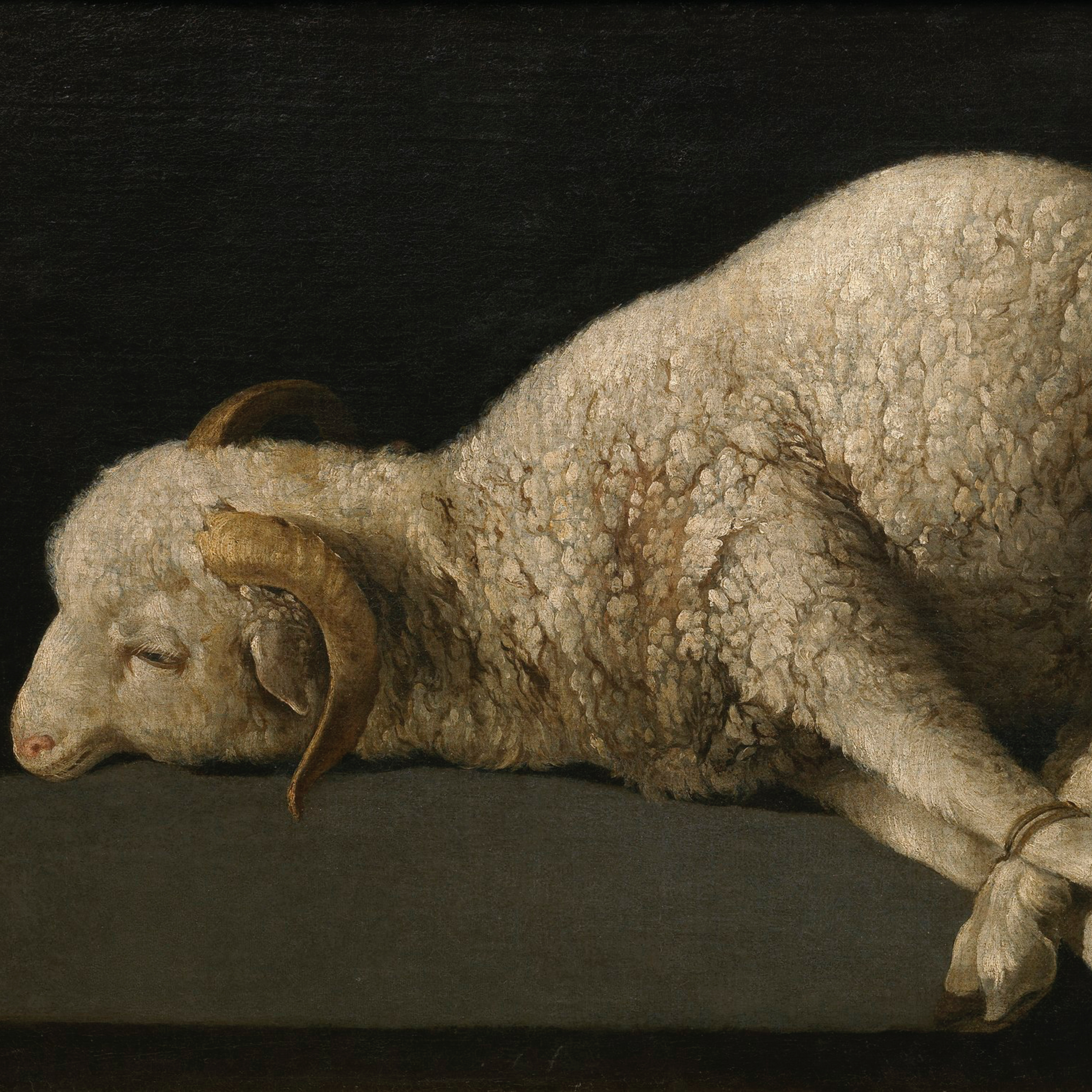 Behold the Lamb of God