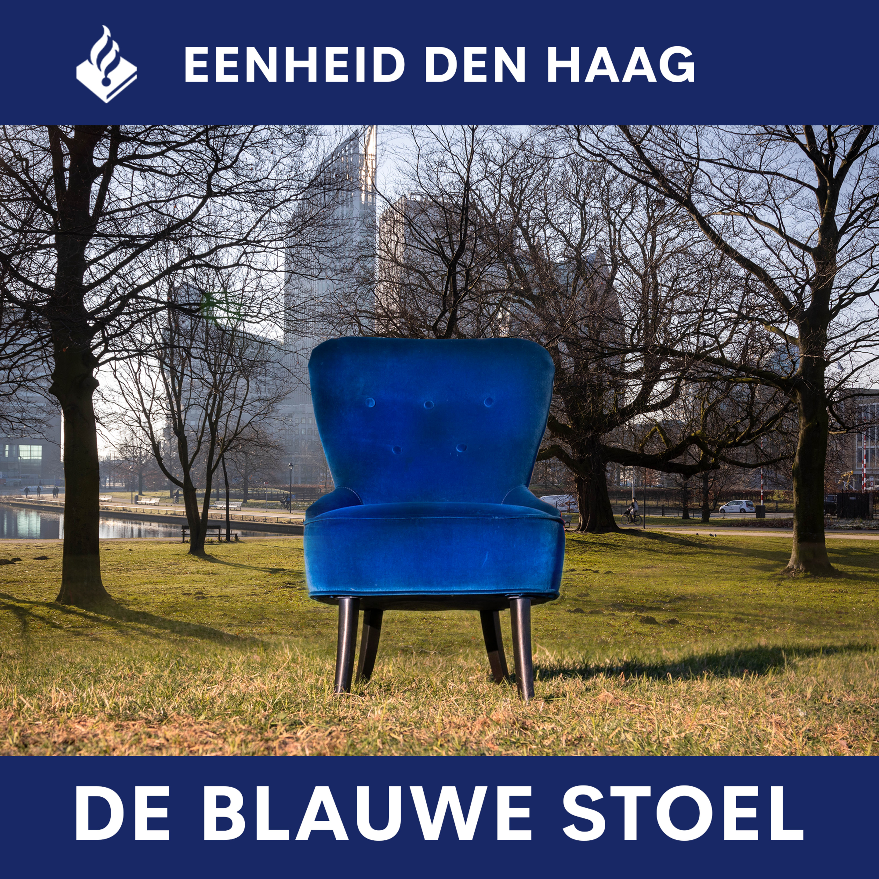 De Blauwe stoel - Antheunisstraat