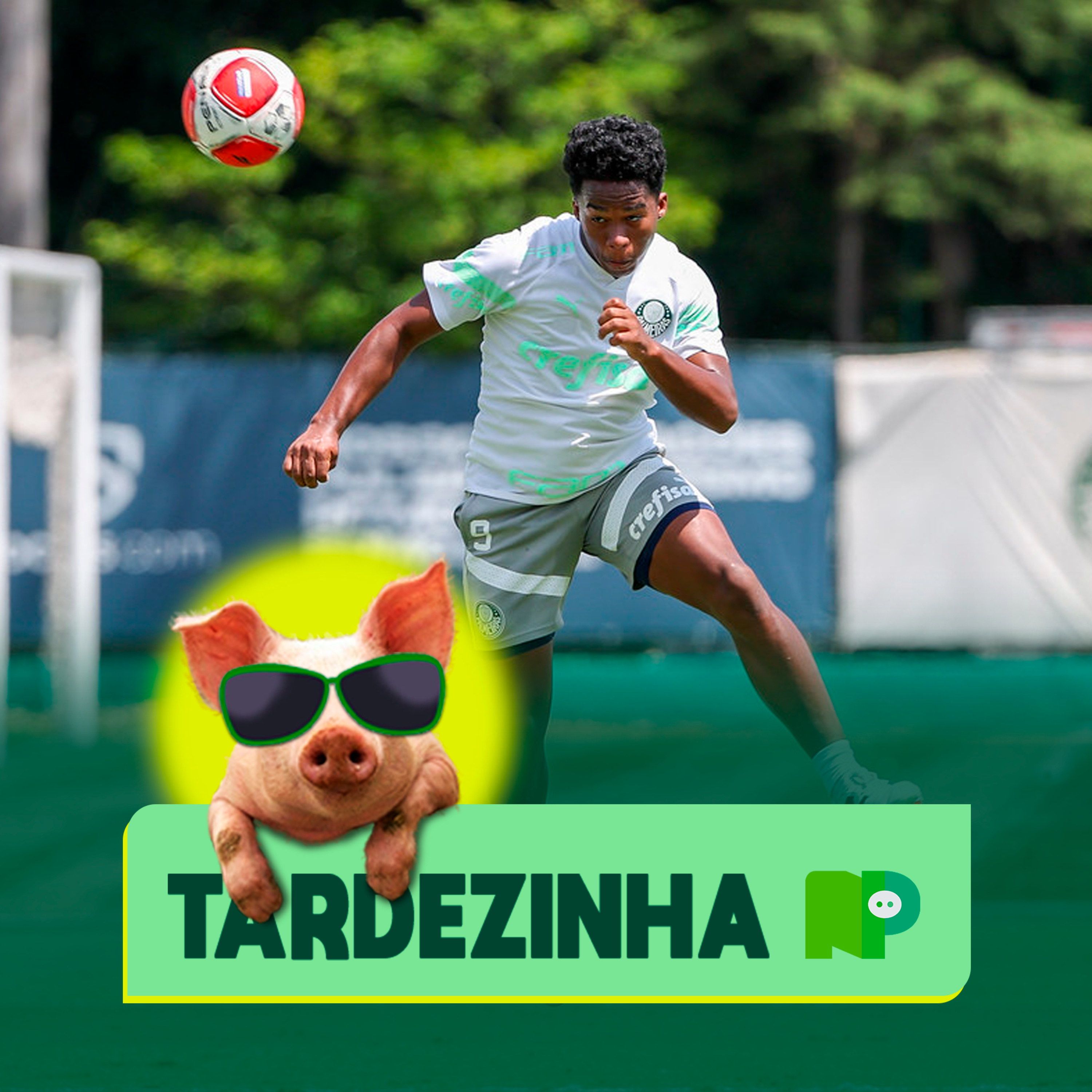 PALMEIRAS PRONTO PARA A ÚLTIMA RODADA DA FASE DE GRUPOS 🔴 TARDEZINHA DO NP episode artwork