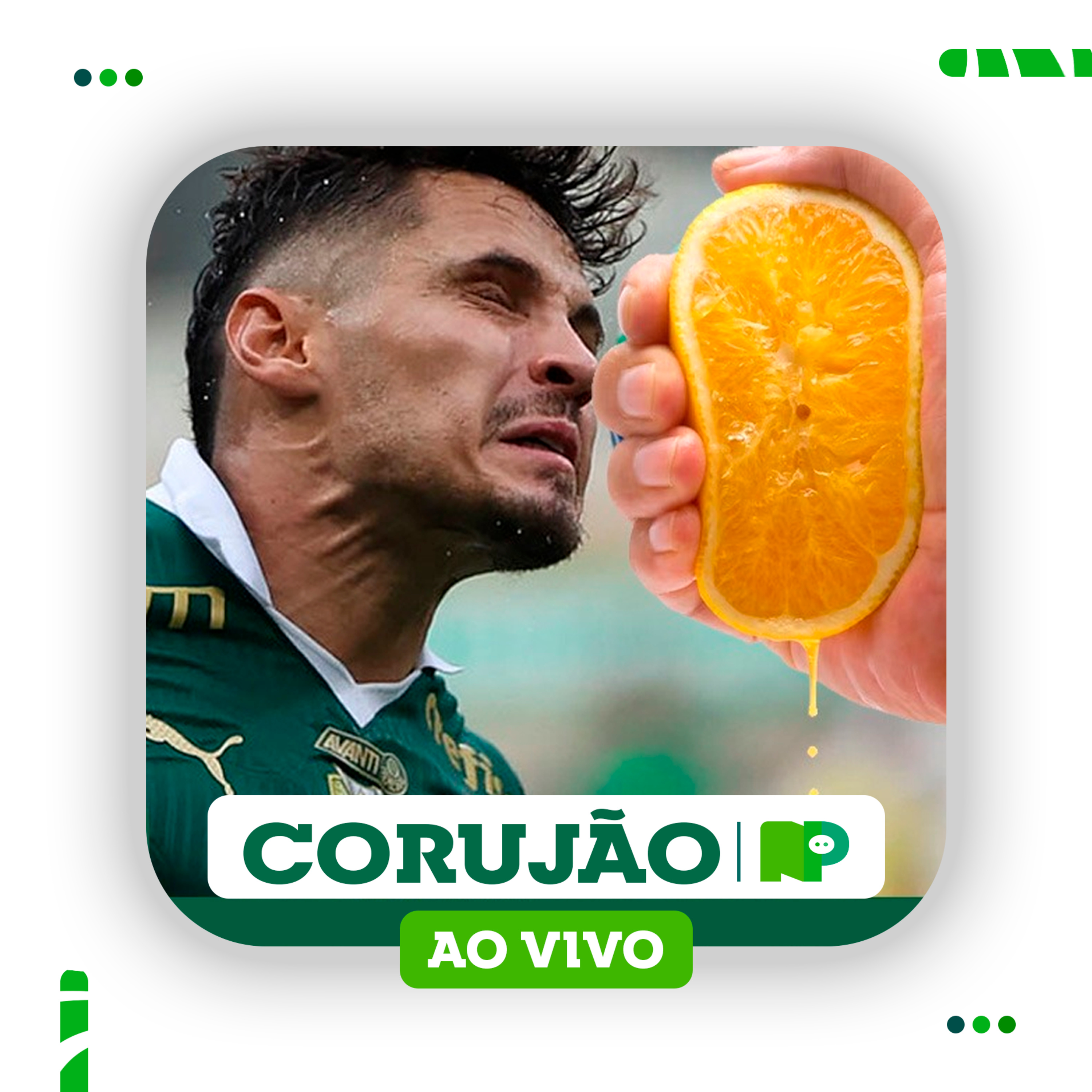 Nosso Palestra
