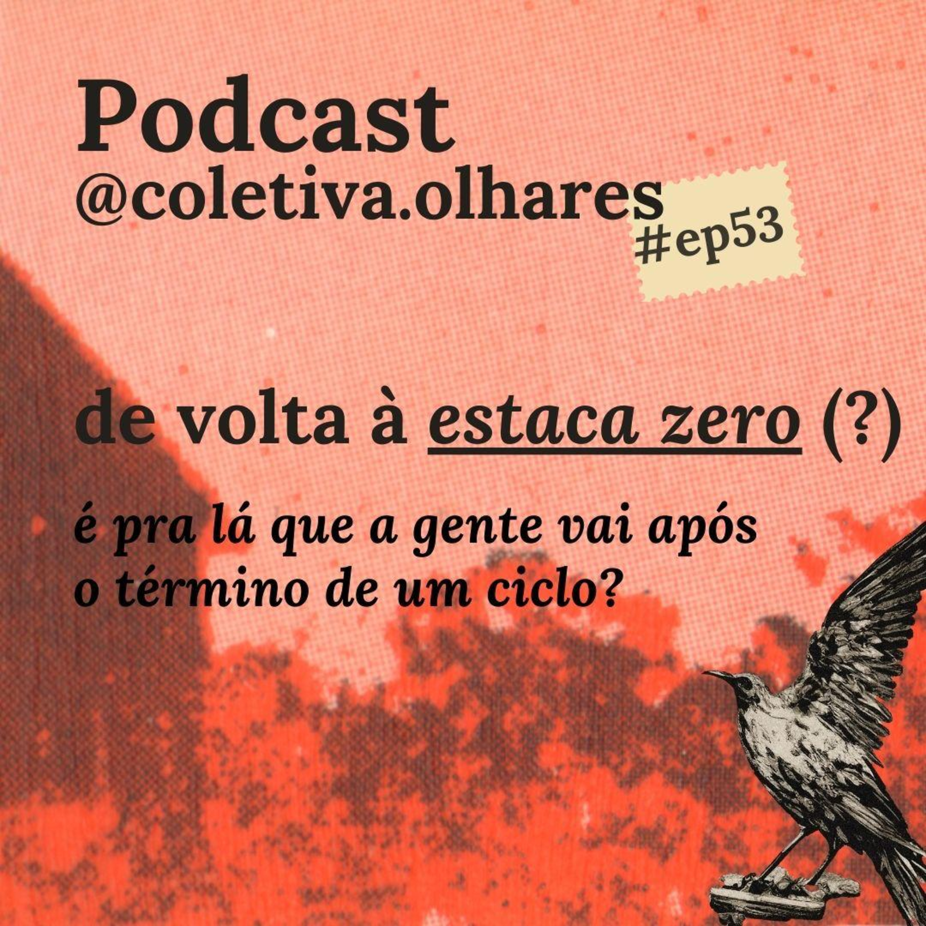 Coletiva Olhares