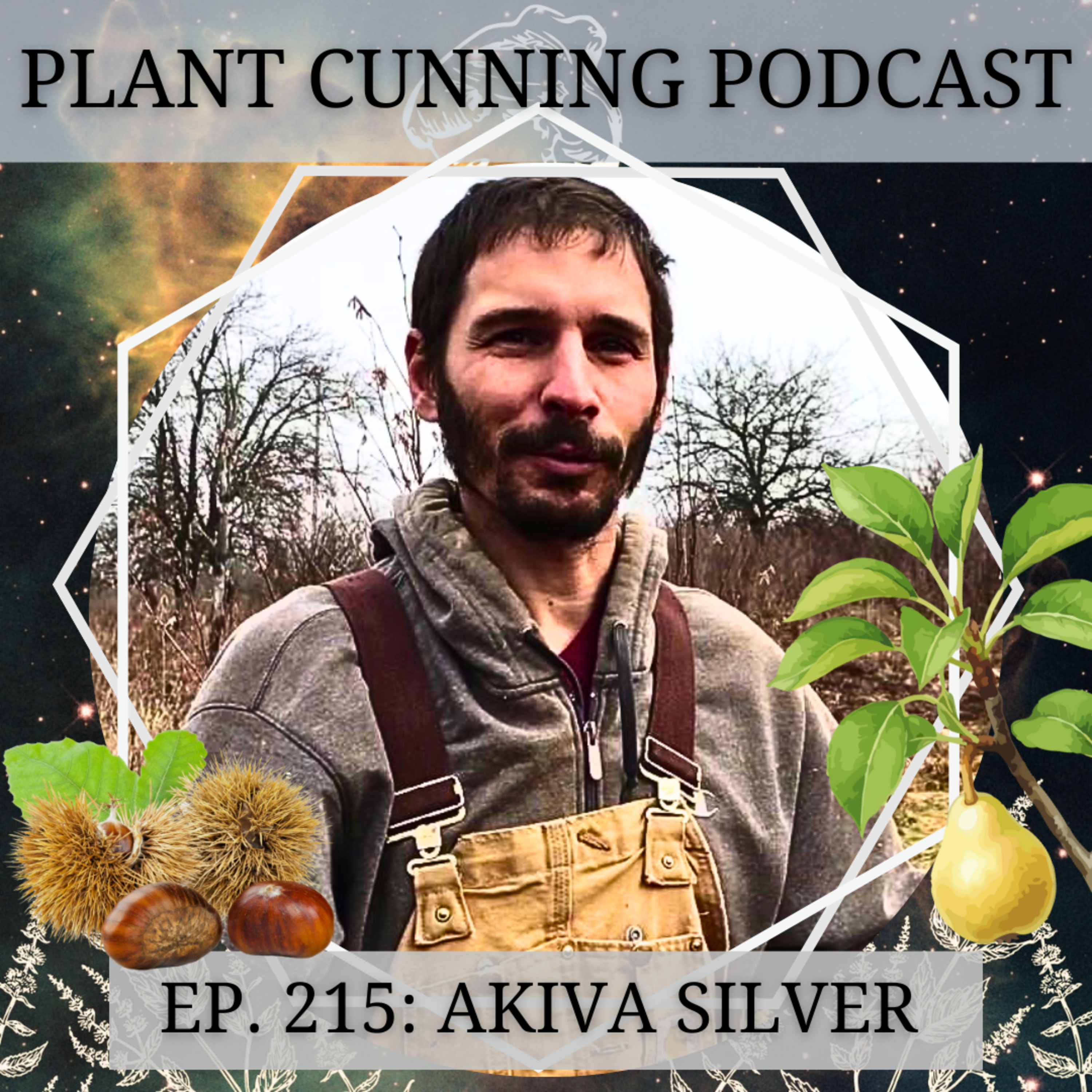 Ep. 215: Akiva Silver on Cultivating Conversation with the Land