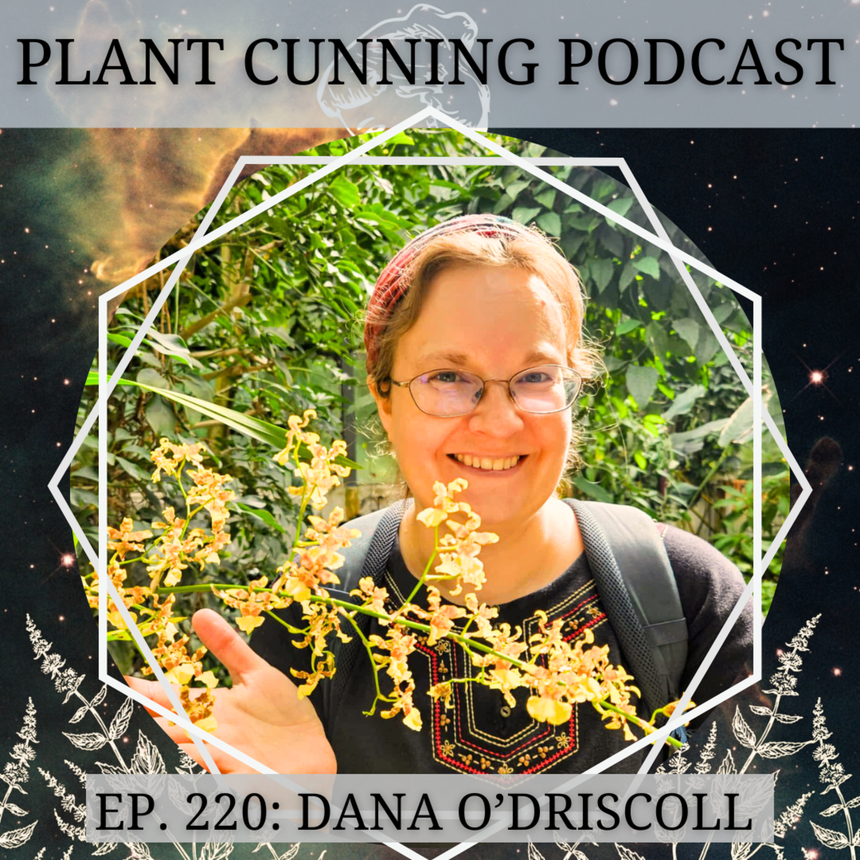 Ep. 220: Eco-Spirituality in the 21st Century with Dana O'Driscoll