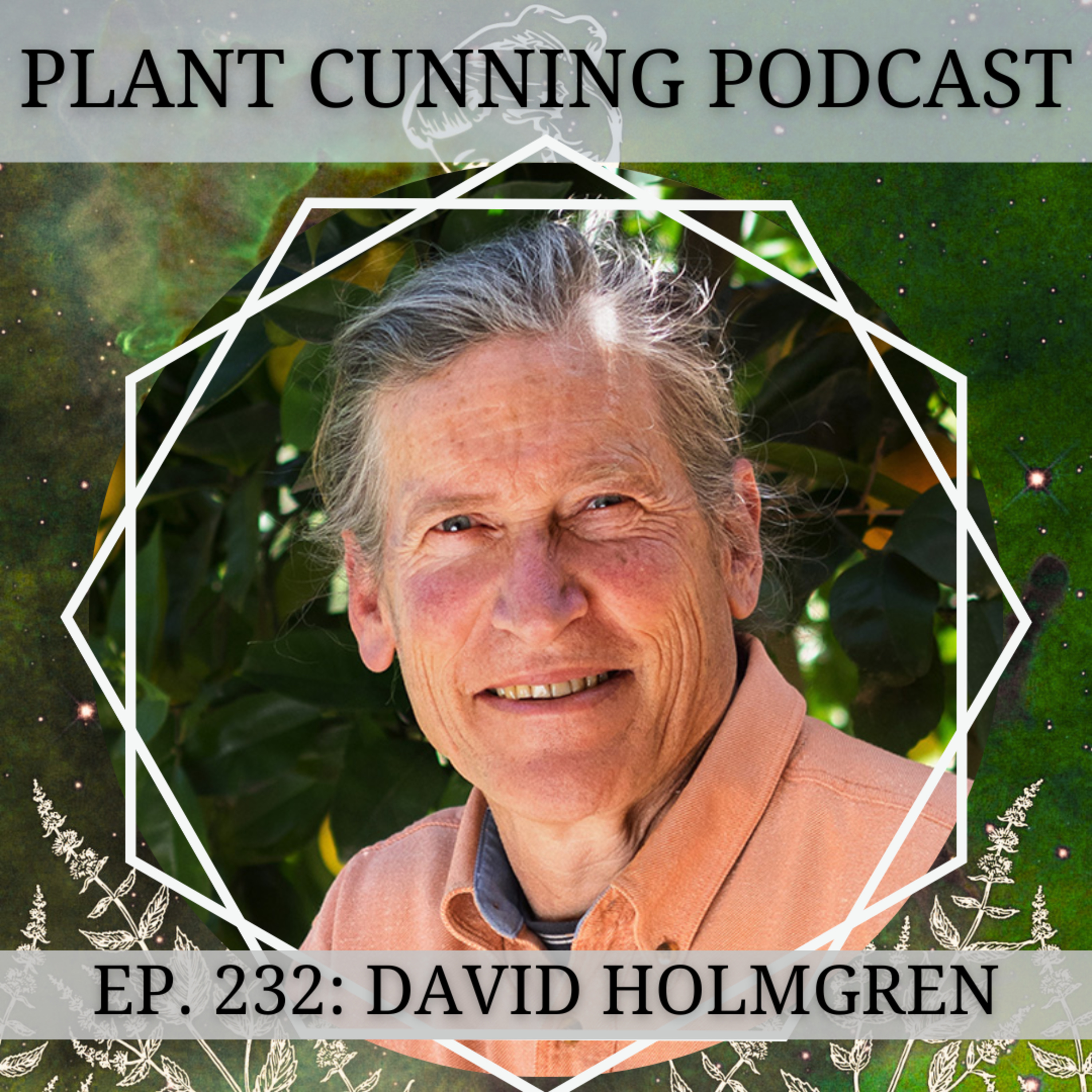 Ep. 232: David Holmgren on Permaculture's Origins & Building Resilient Households
