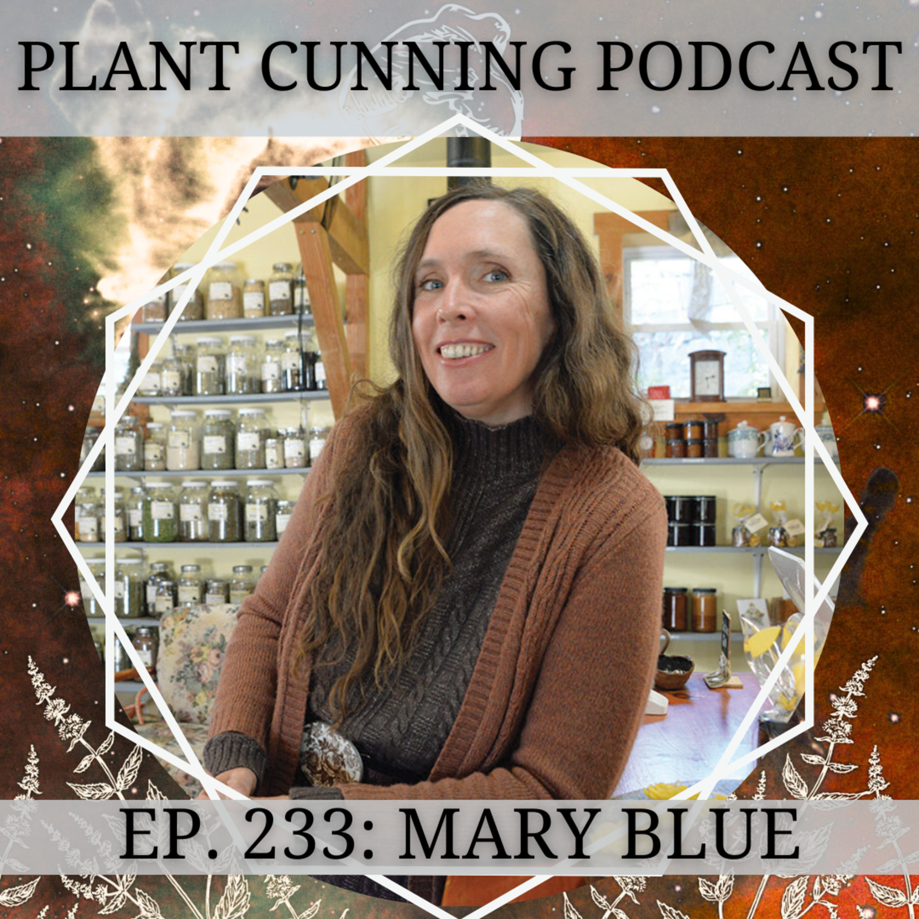 Ep. 233: The Hot Tincture Method with Mary Blue