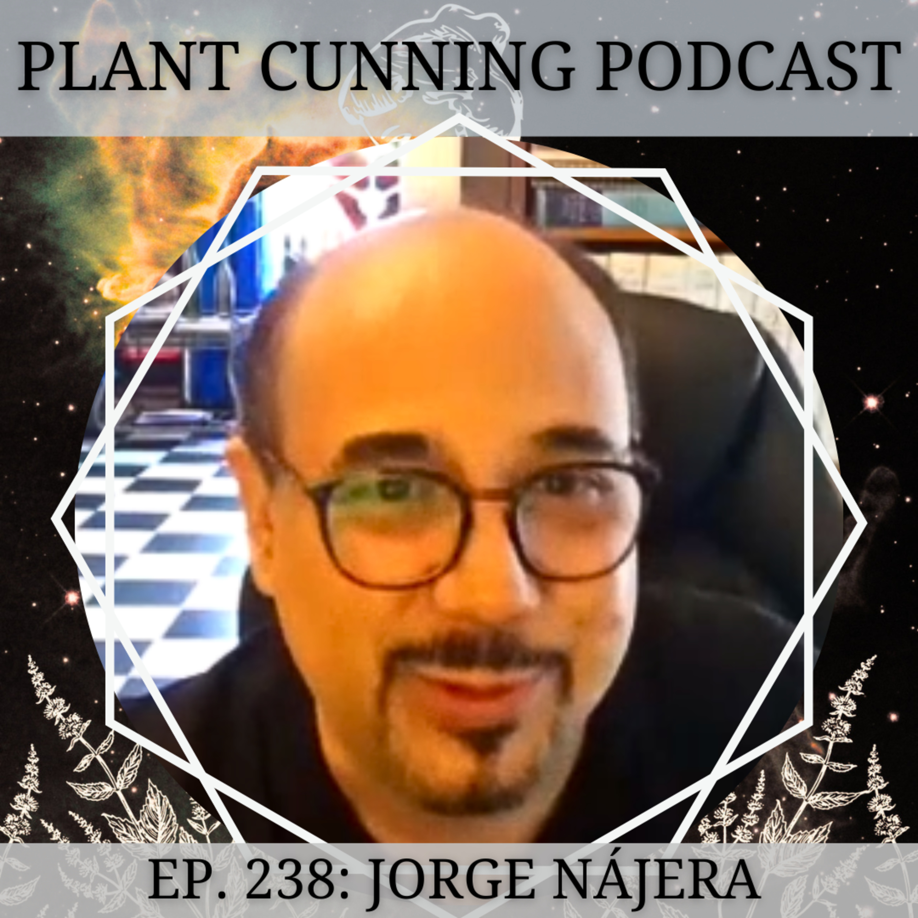 Ep. 238: Ceremonial Magic in Mexico with Jorge Nájera episode artwork
