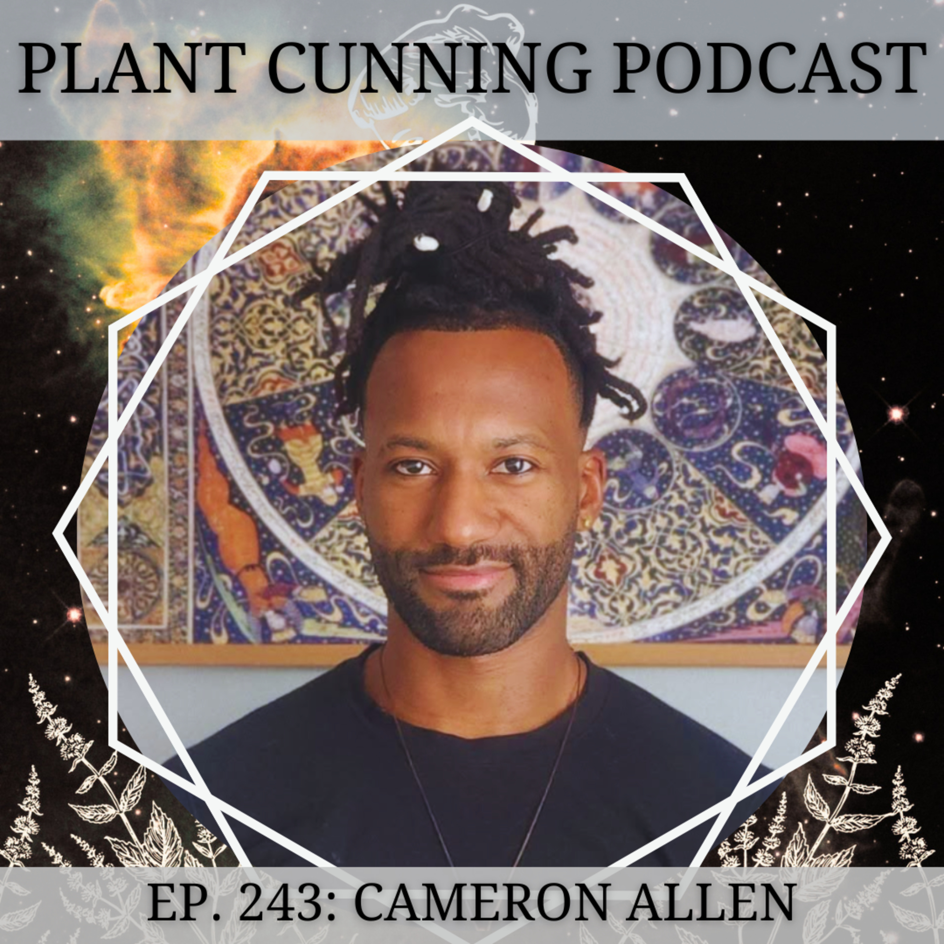 Ep. 243: Temperament & Graeco-Arabic Medicine with Cameron Allen episode artwork
