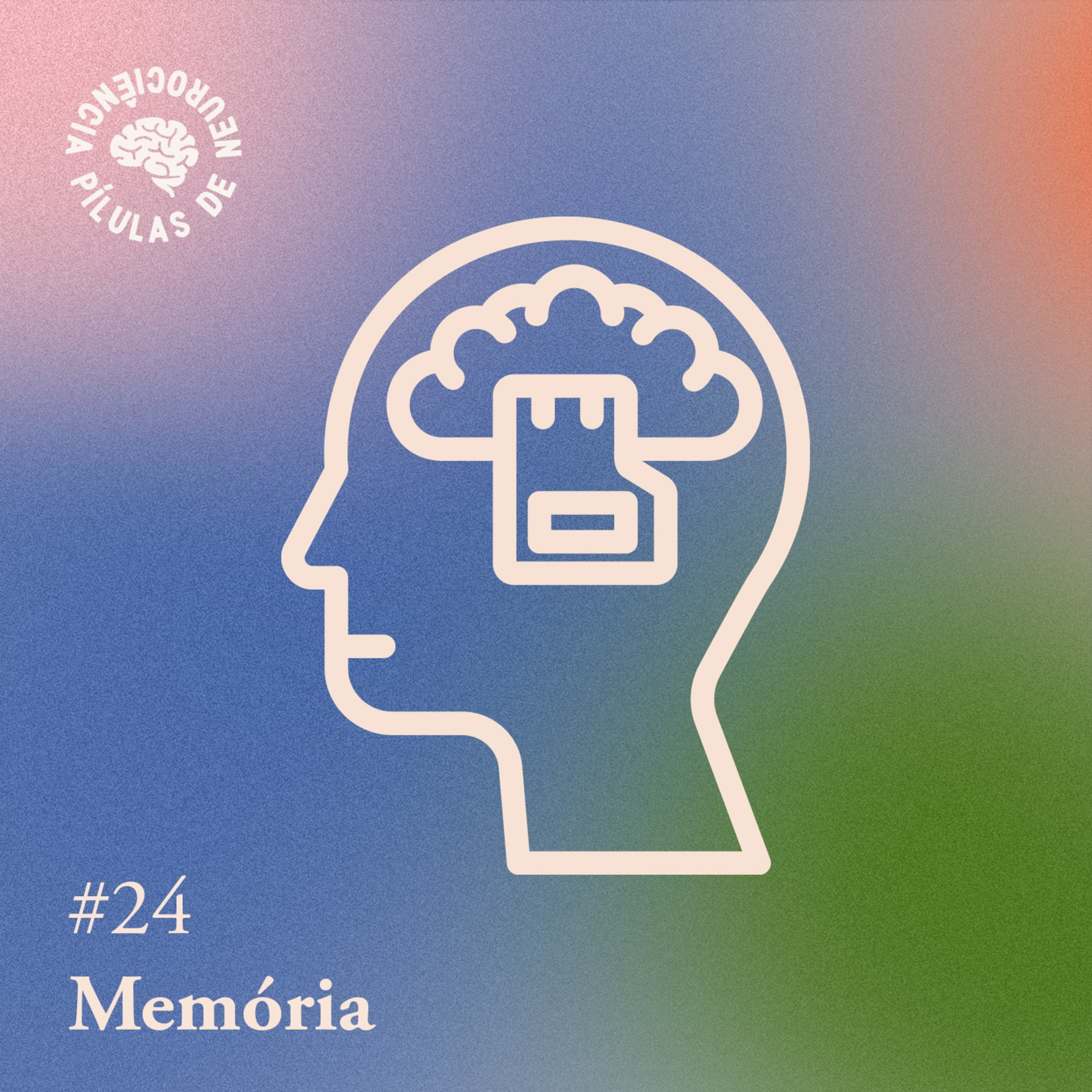 Arquivo #136 - Pílulas: Memória
