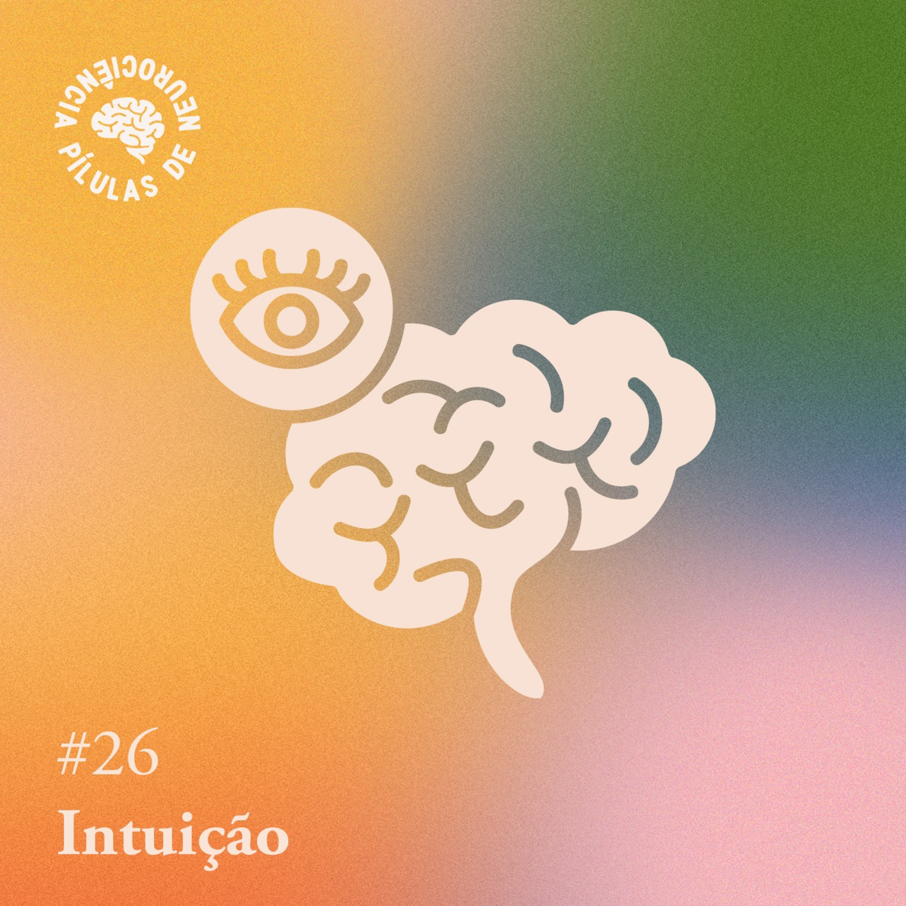 Arquivo #145 - Pílulas: Intuição