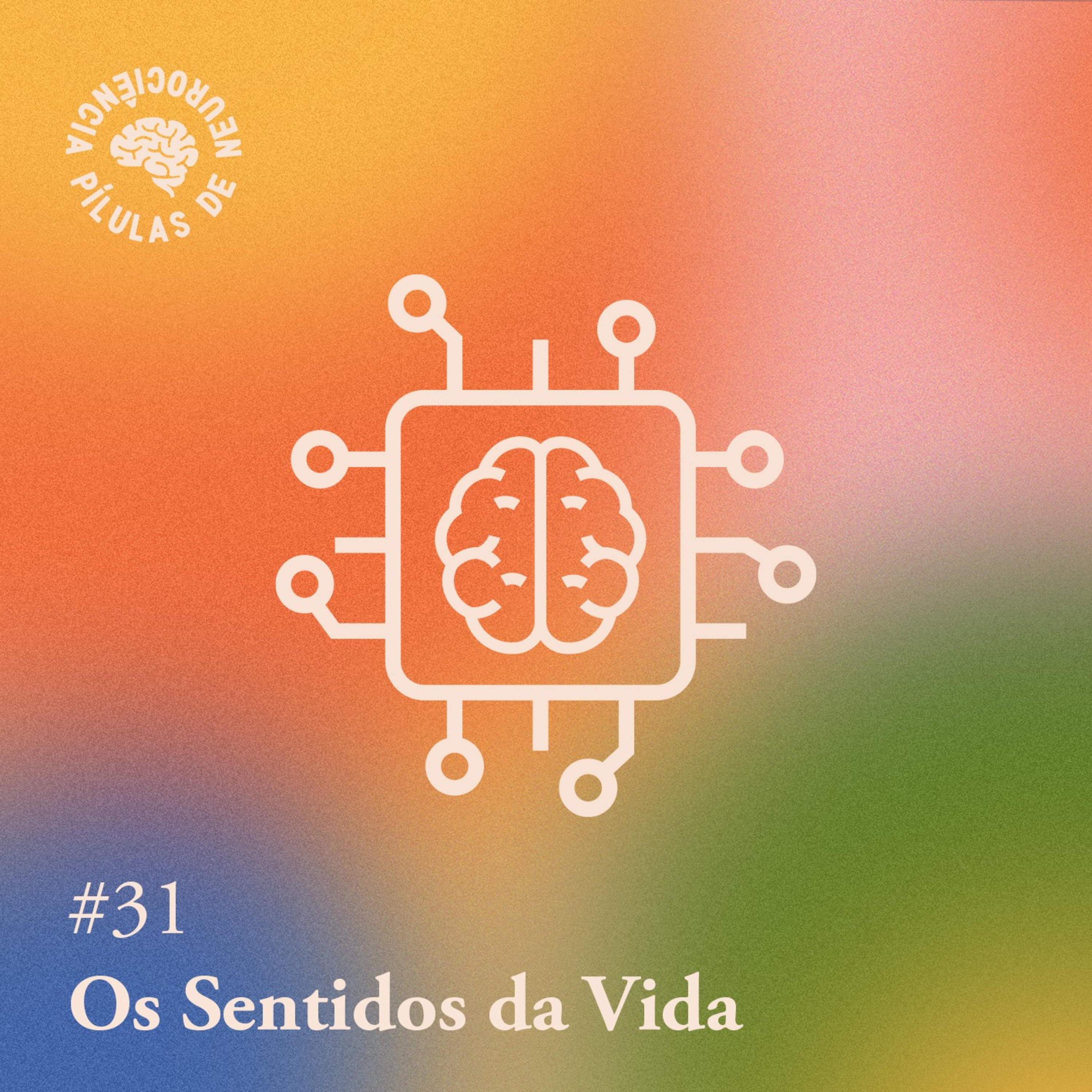 Arquivo #166 - Pílulas: Os sentidos da vida