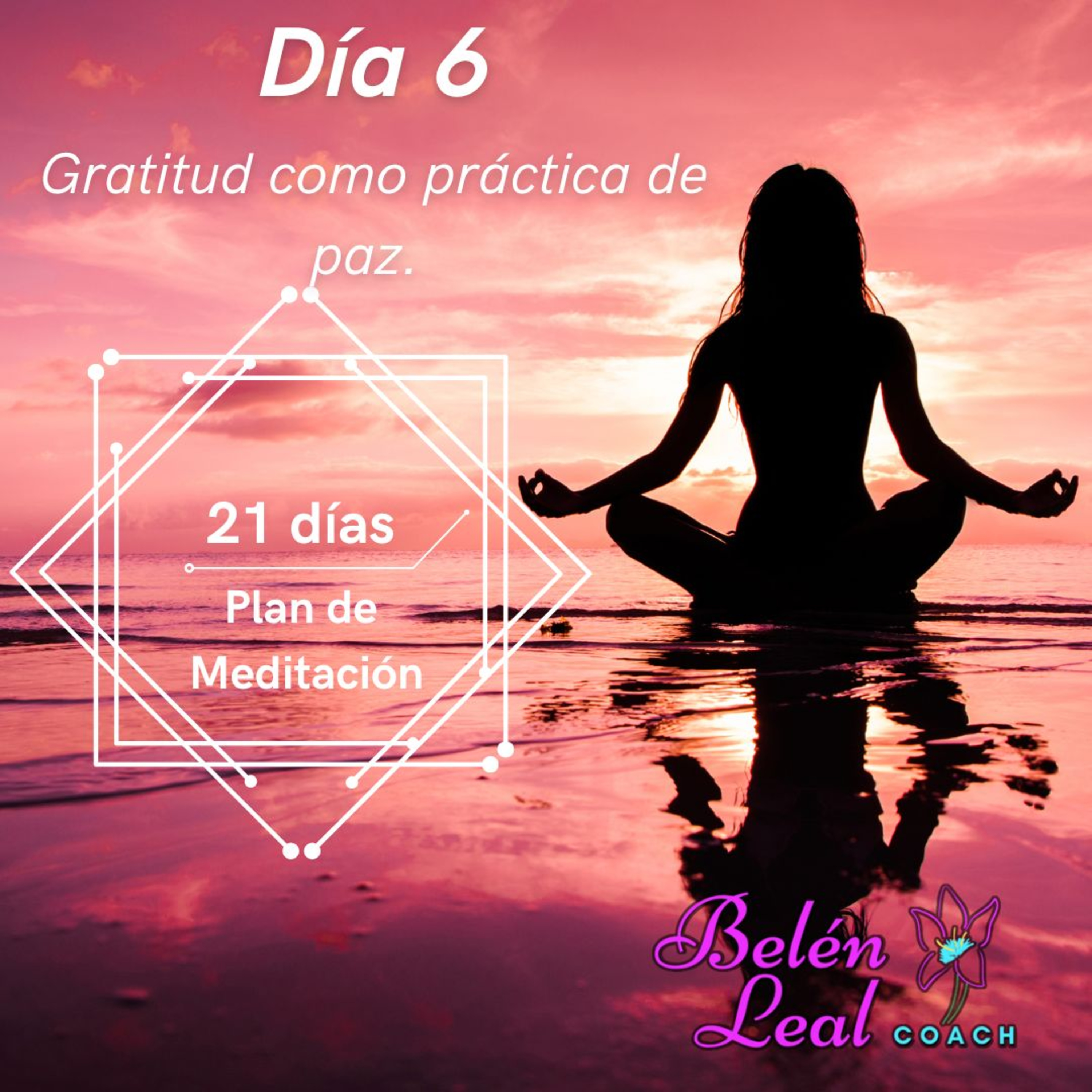 Día 6: Gratitud como práctica de paz. episode artwork