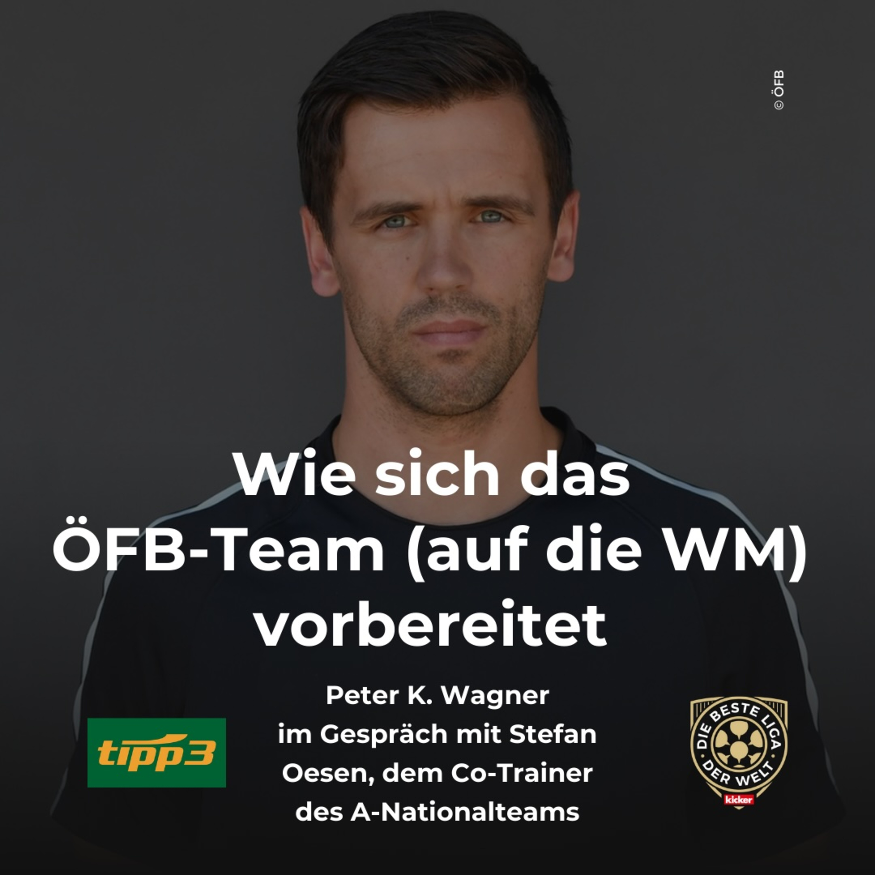Bonusrunde // Wie sich das ÖFB-Team (auf die WM) vorbereitet