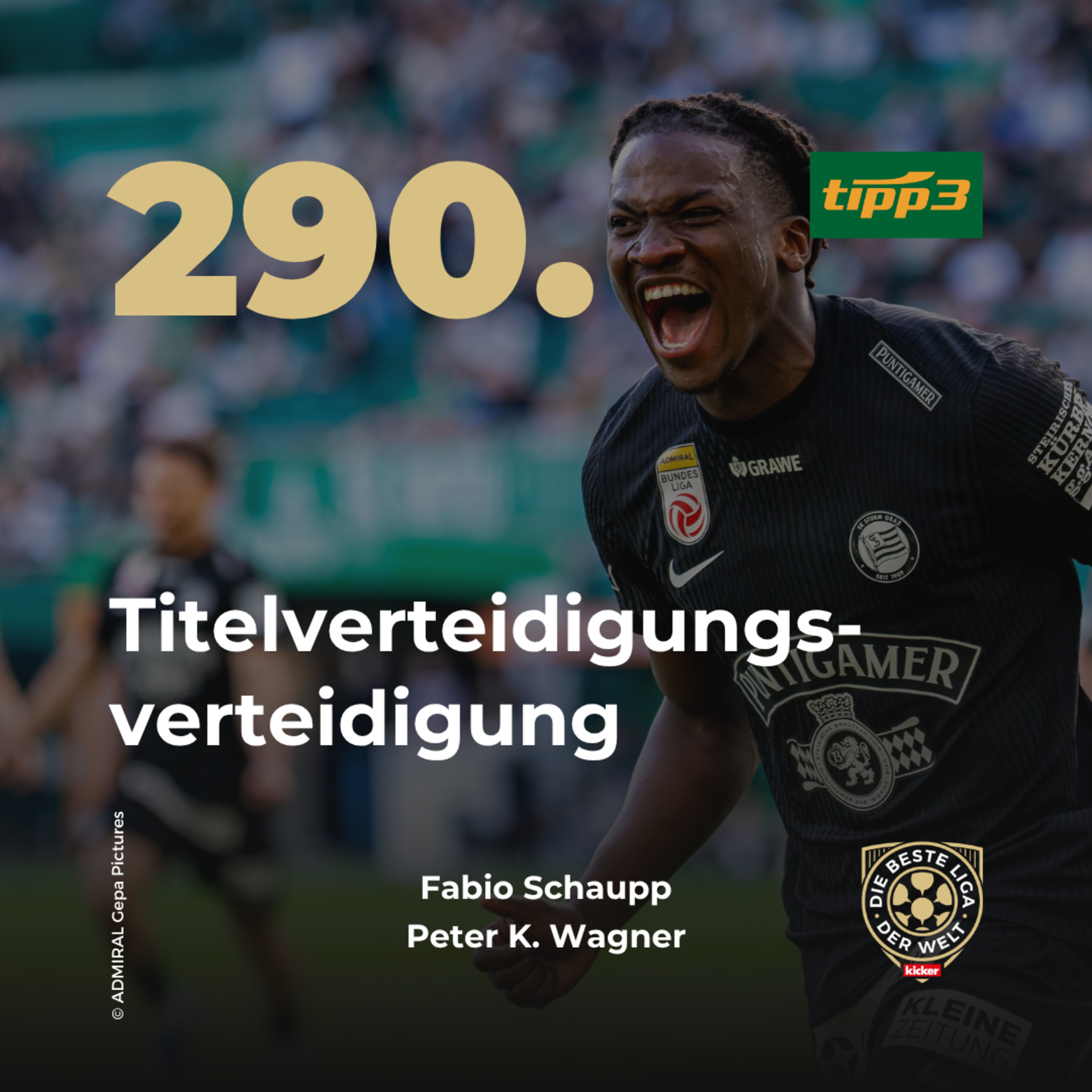 TITELVERTEIDIGUNGSVERTEIDIGUNG