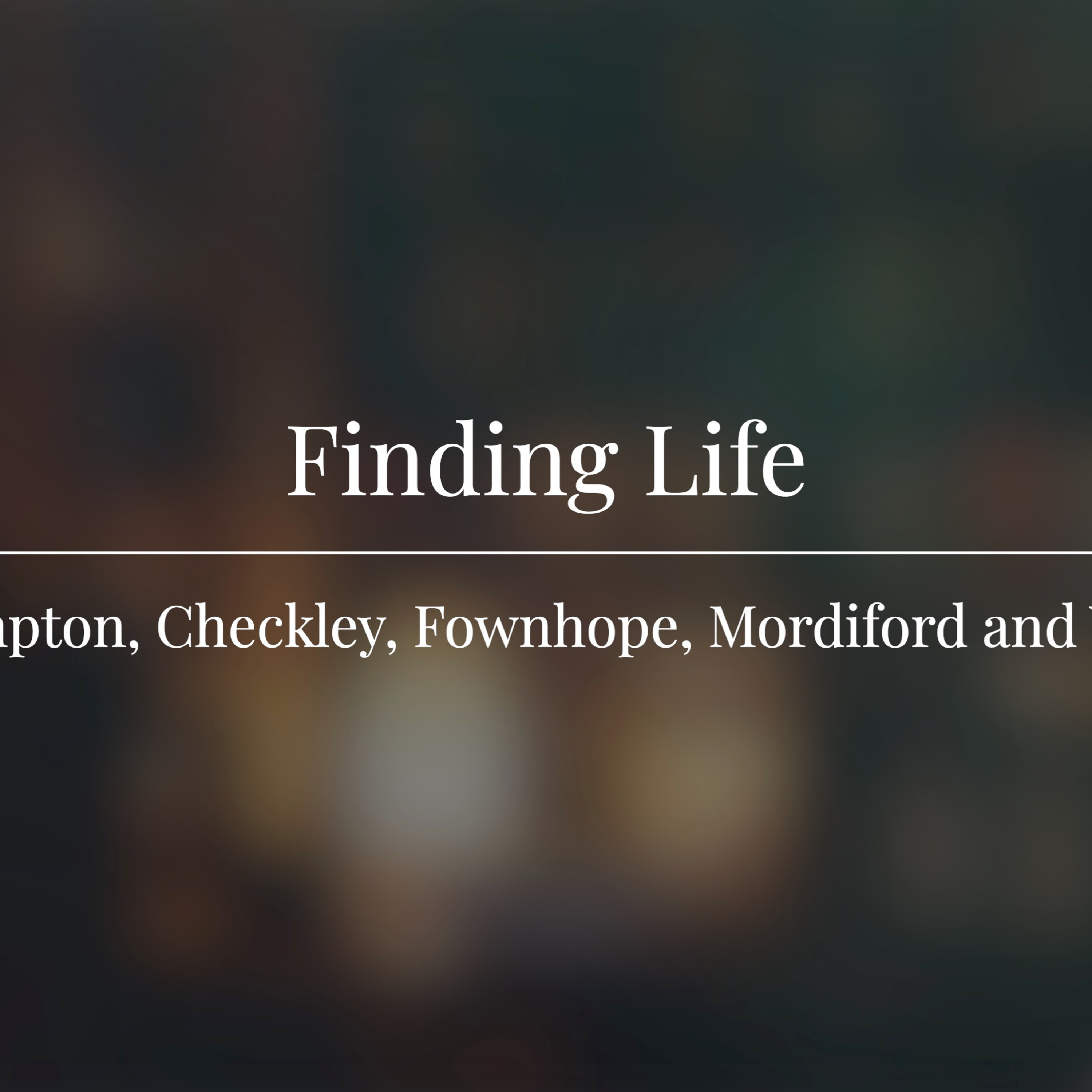 Finding Life episode artwork
